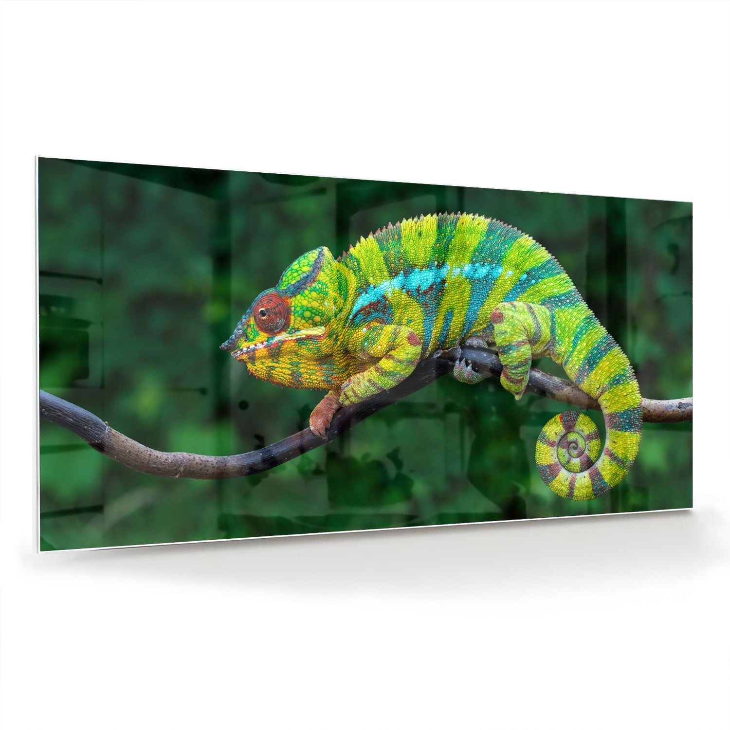 Farbenfrohes Glasbild mit einem Chamäleon – Glasbild aus Sicherheitsglas, Größe 70x70_rond