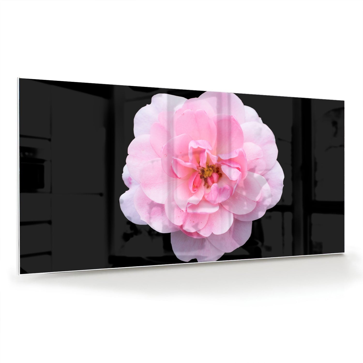 Elegantes Glasbild mit rosa Blume auf schwarzem Hintergrund – Glasbild aus Sicherheitsglas, Größe 70x70_rond