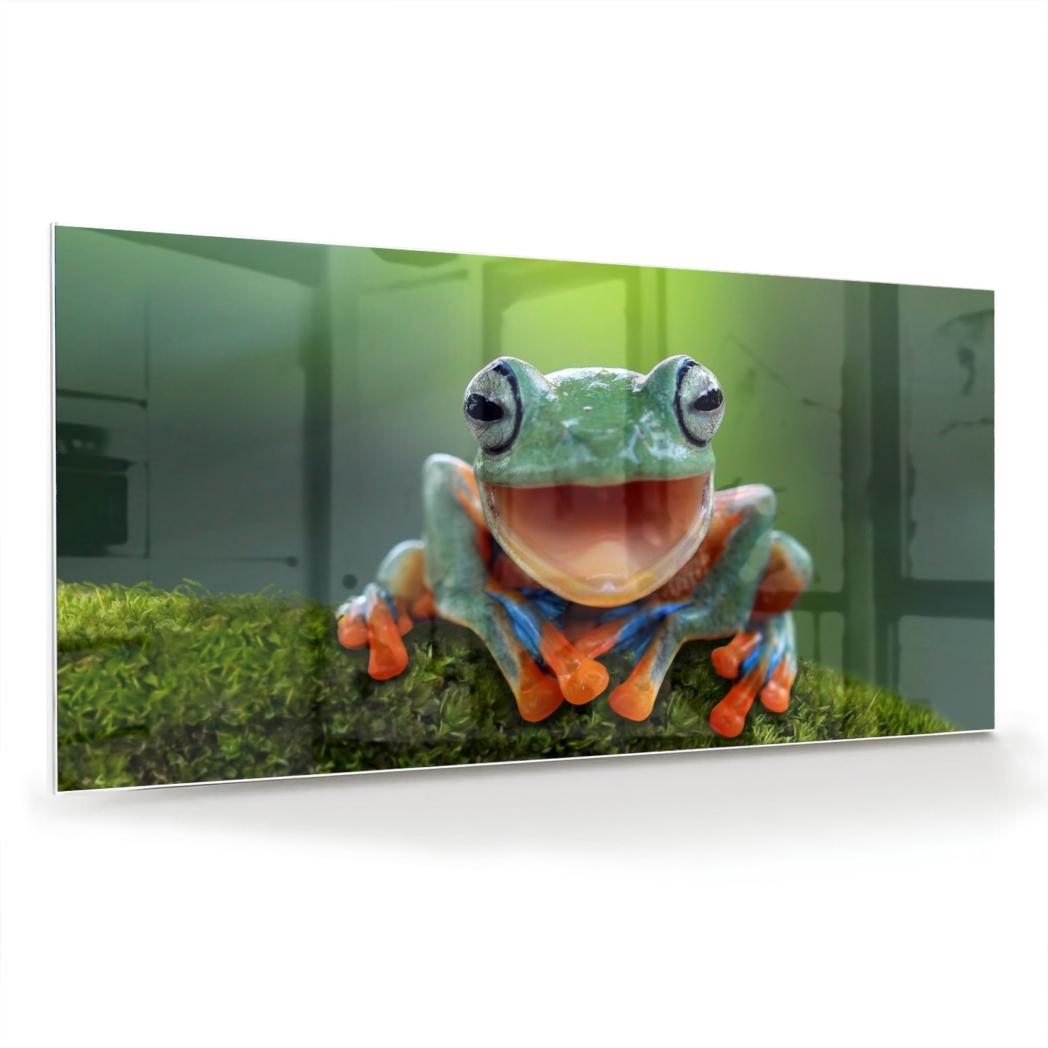 Fröhliches Glasbild mit Laubfrosch – Glasbild aus Sicherheitsglas, Größe 70x70_rond