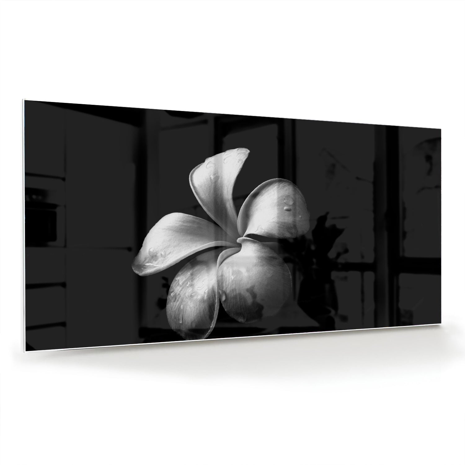 Elegantes schwarzes Glasbild mit Blumenmotiv – Glasbild aus Sicherheitsglas, Größe 70x70_rond