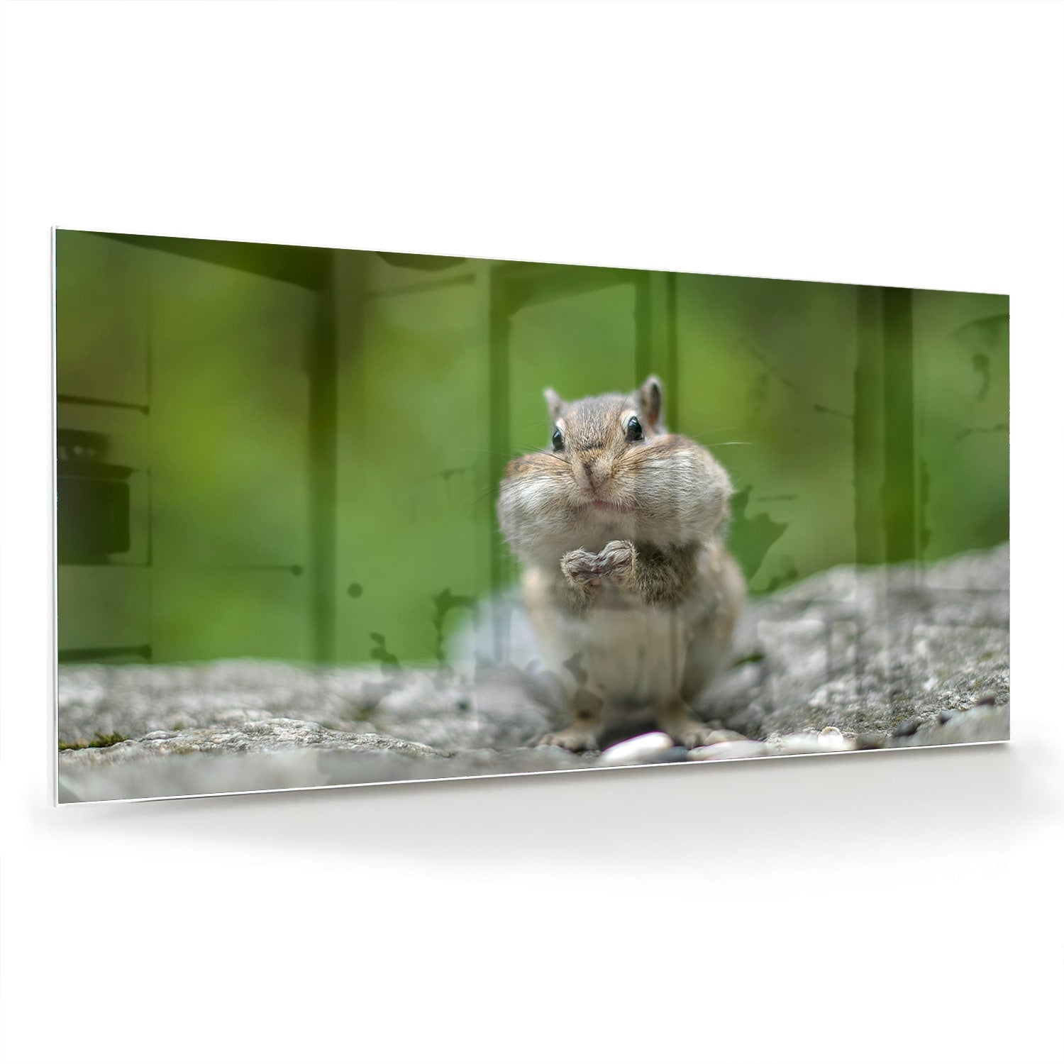 Niedliches Glasbild mit Eichhörnchen – Glasbild aus Sicherheitsglas, Größe 70x70_rond