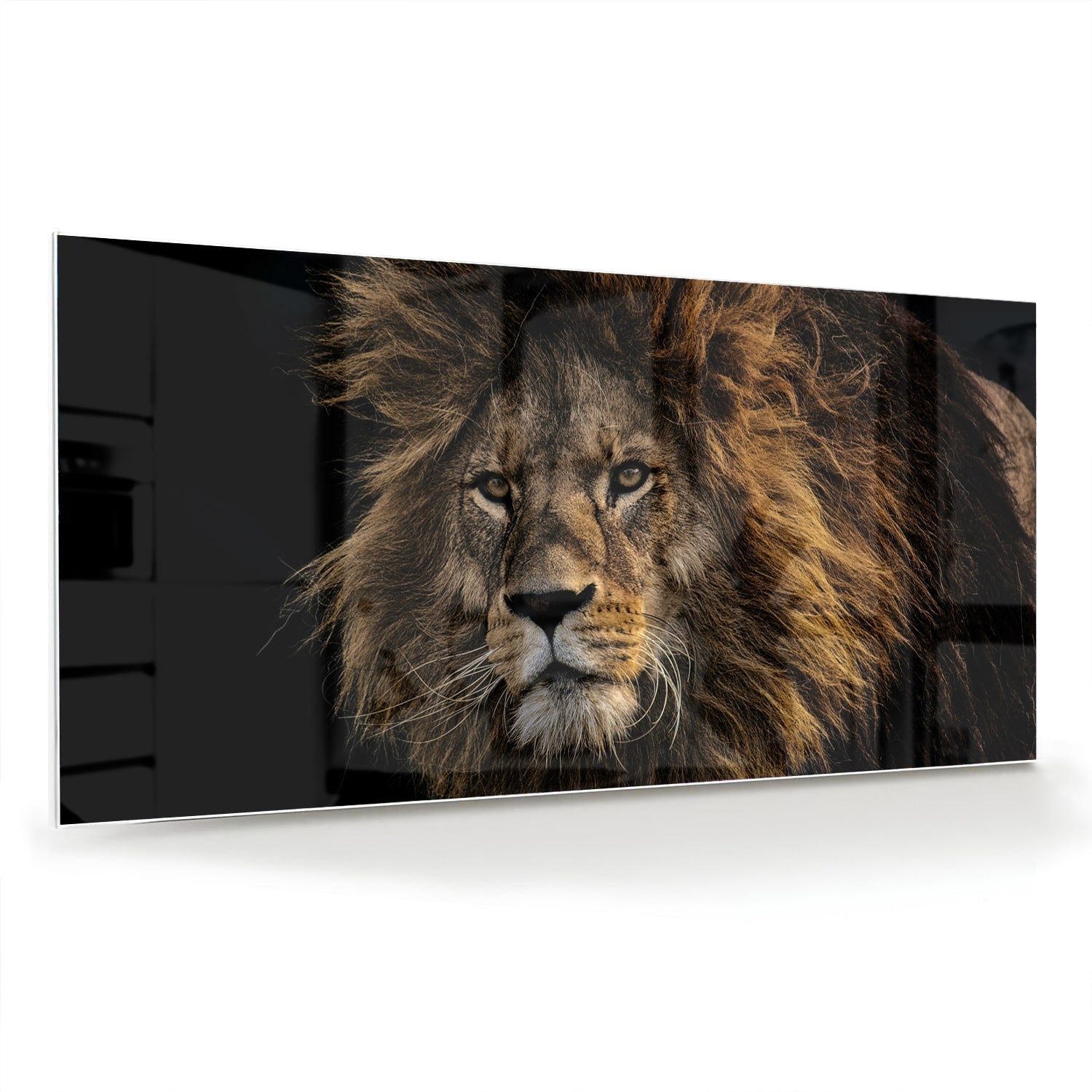 Glasbild mit majestätischem Löwen – Glasbild aus Sicherheitsglas, Größe 70x70_rond