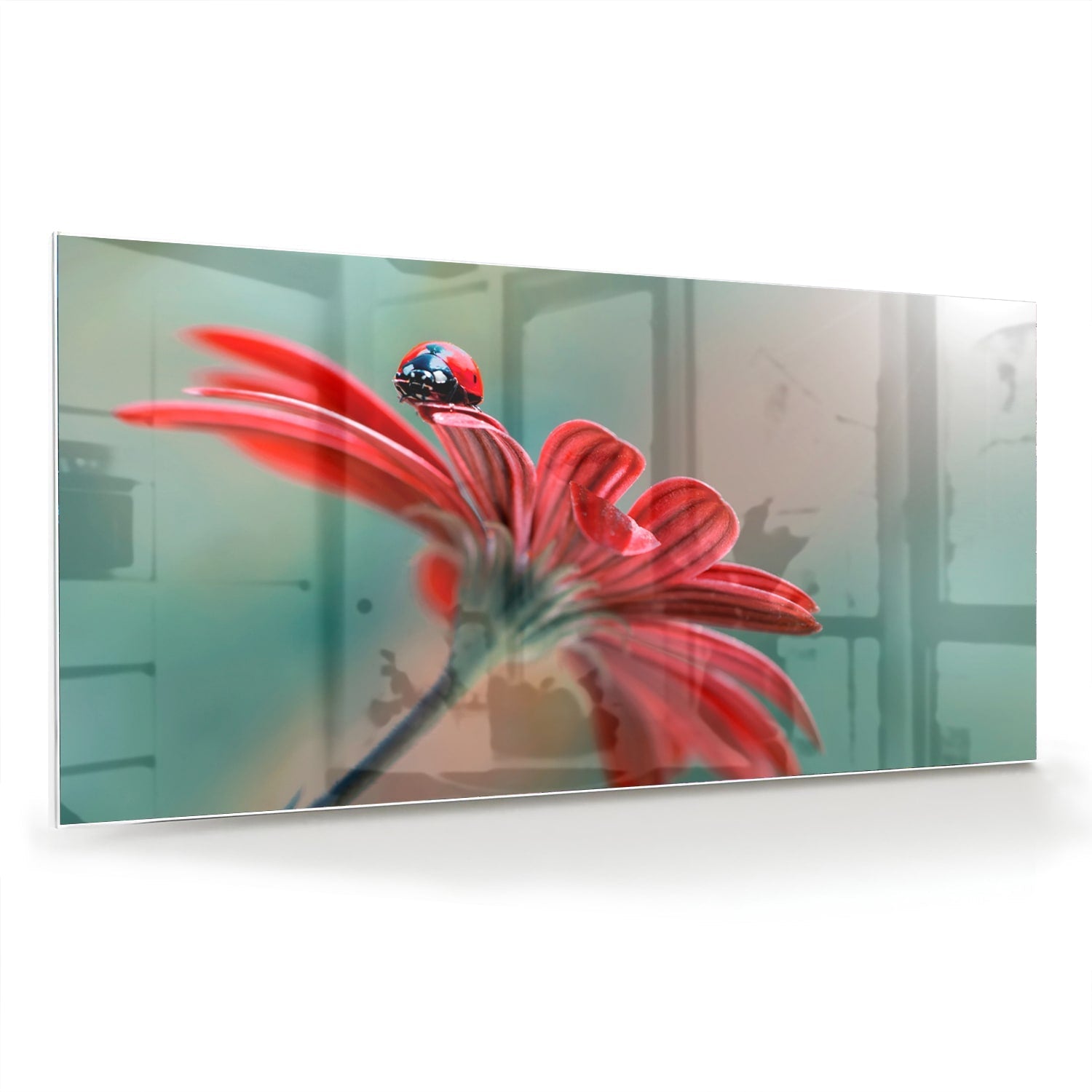 Glasbild mit einer Blume und einem Marienkäfer – Glasbild aus Sicherheitsglas, Größe 70x70_rond