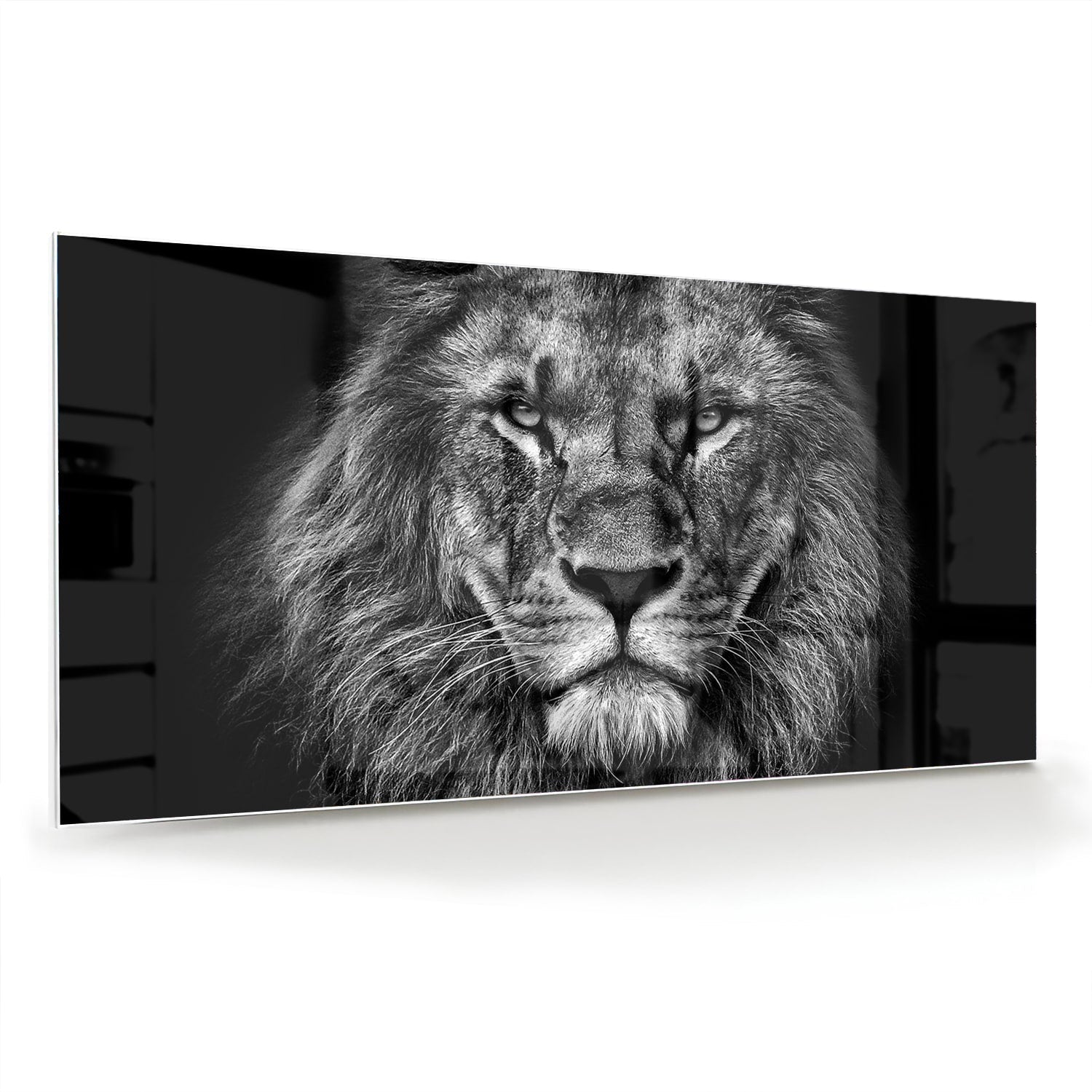 Beeindruckendes Glasbild mit einem Löwen – Glasbild aus Sicherheitsglas, Größe 70x70_rond