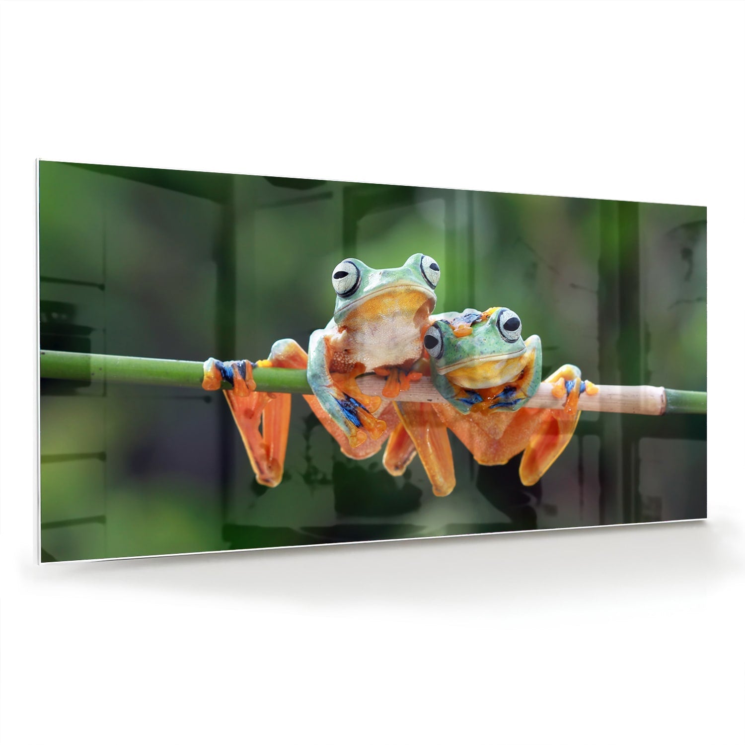 Fröhliches Glasbild mit Frosch auf einem Ast – Glasbild aus Sicherheitsglas, Größe 70x70_rond