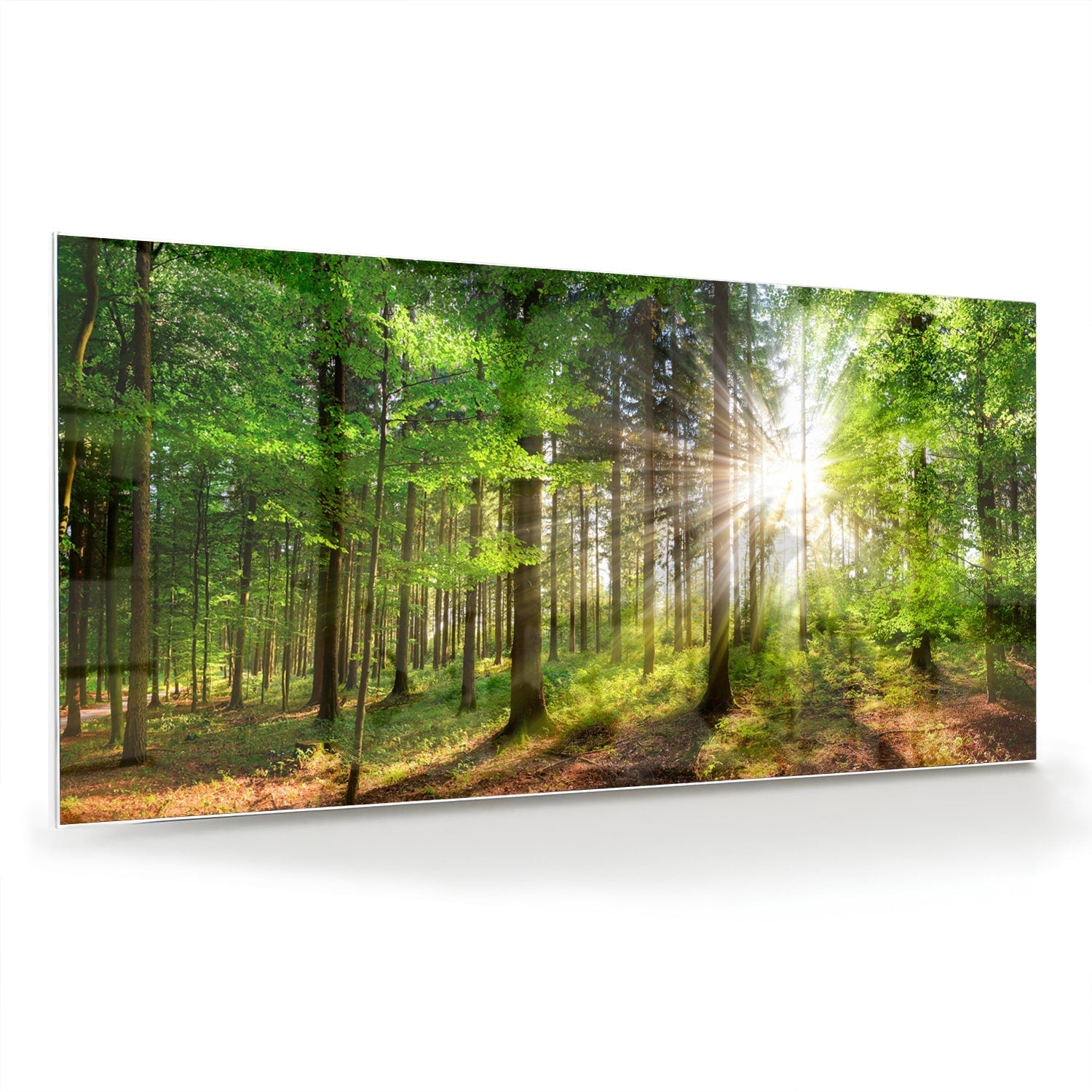 Glasbild mit sonnigem Wald für die Wohndekoration – Glasbild aus Sicherheitsglas, Größe 70x70_rond