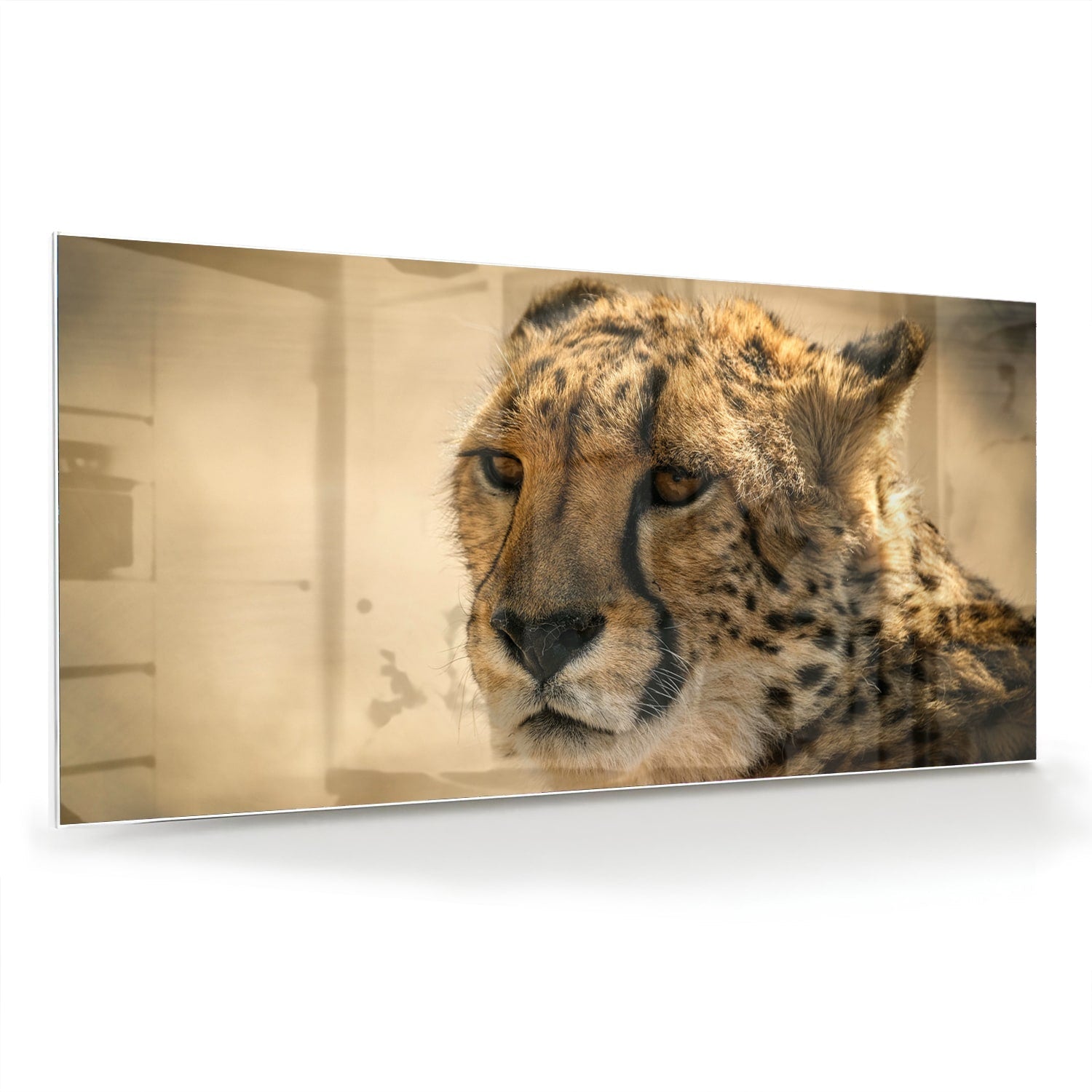 Elegantes Glasbild mit einem Leoparden – Glasbild aus Sicherheitsglas, Größe 70x70_rond