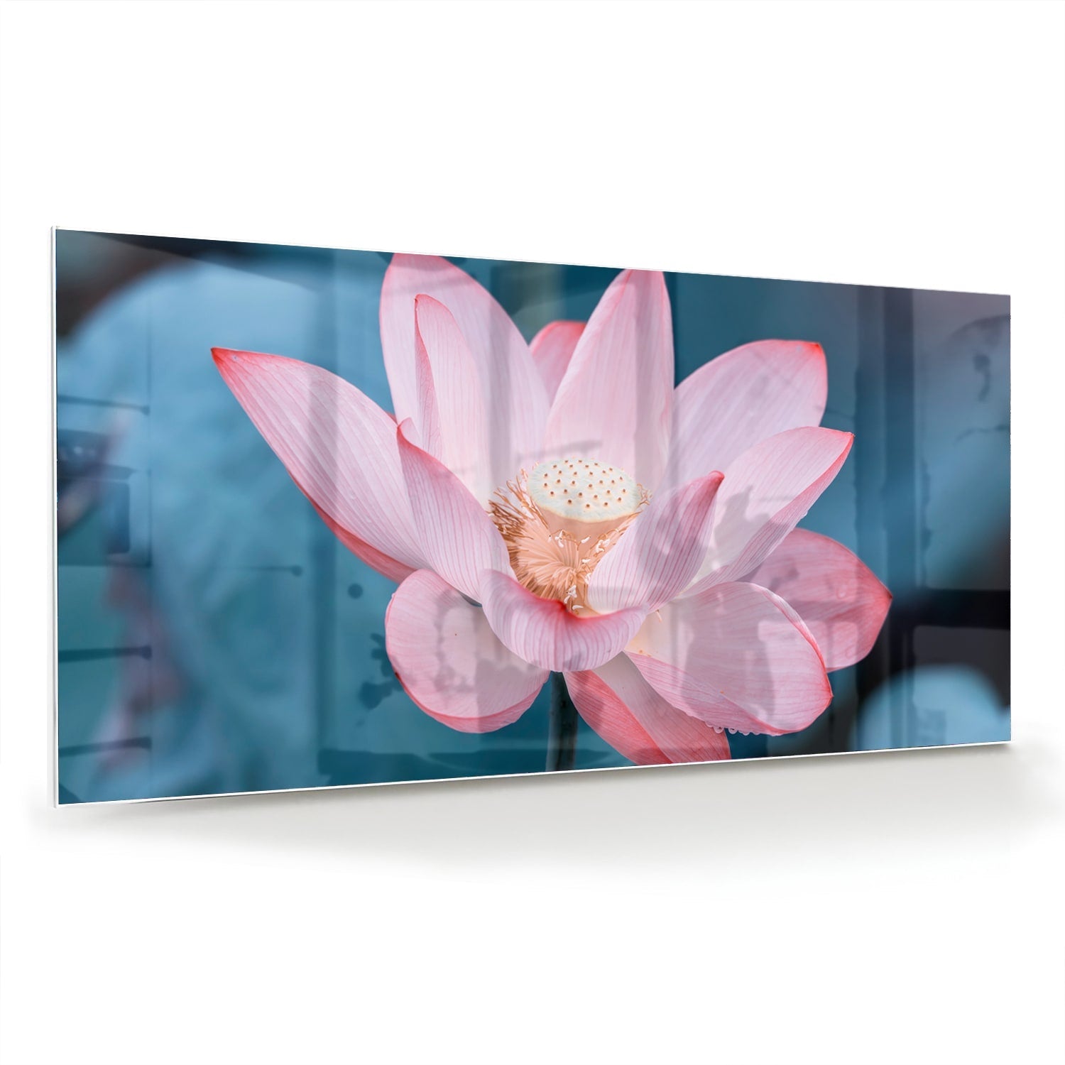Wunderschönes Glasbild mit rosa Lotus – Glasbild aus Sicherheitsglas, Größe 70x70_rond