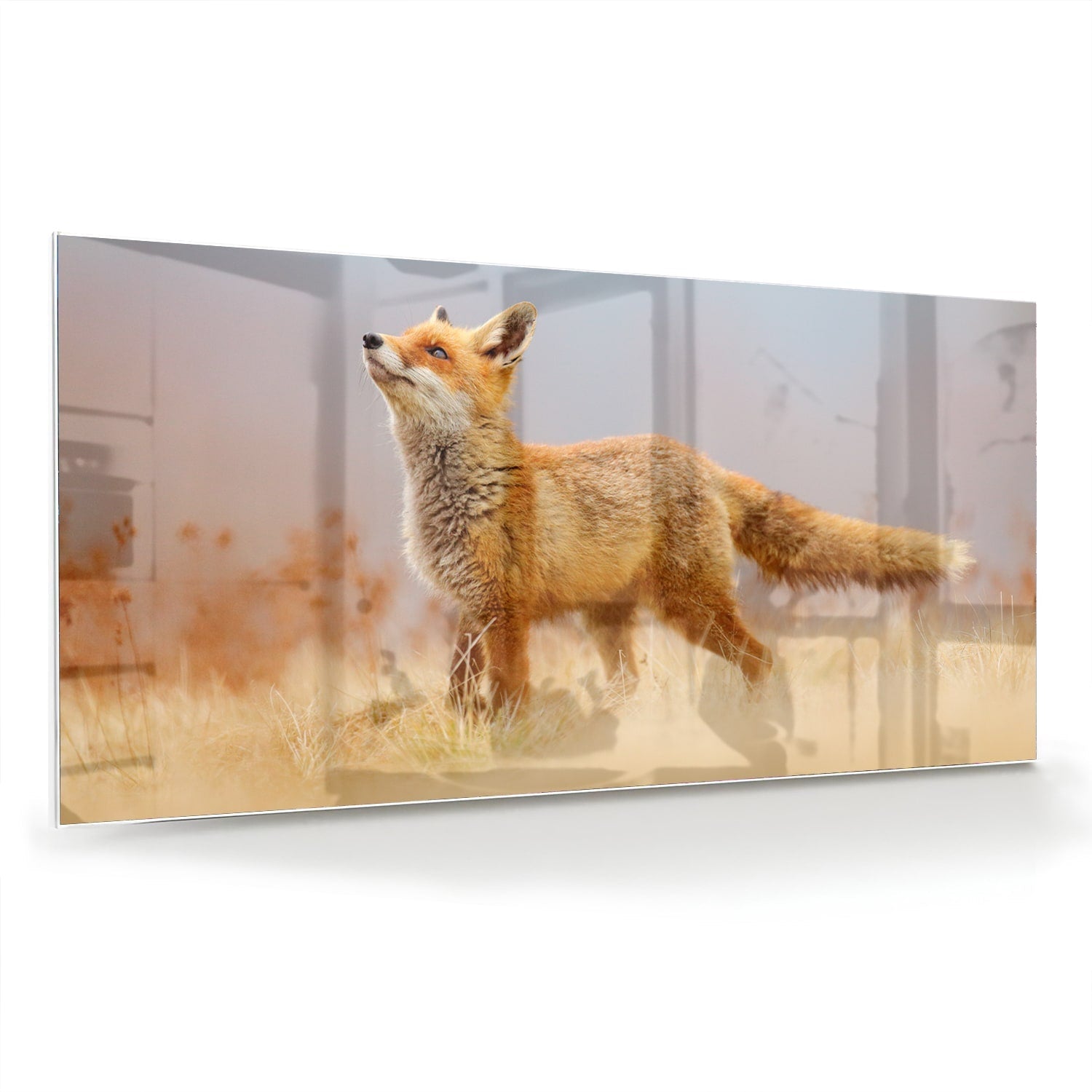 Stilvolles Glasbild mit einem Fuchs in der Natur – Glasbild aus Sicherheitsglas, Größe 70x70_rond