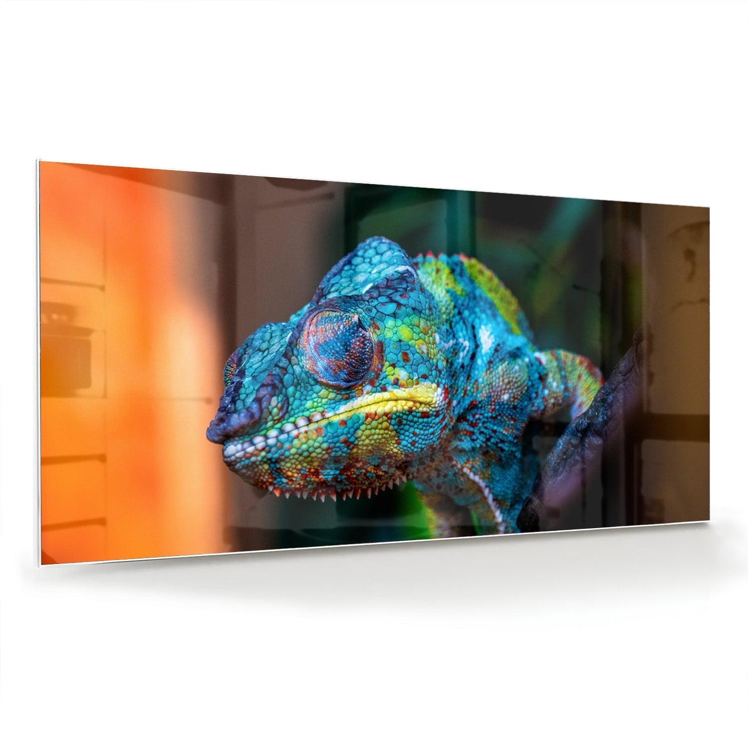 Farbenfrohes Chamäleon-Glasbild für Ihr Interieur – Glasbild aus Sicherheitsglas, Größe 70x70_rond