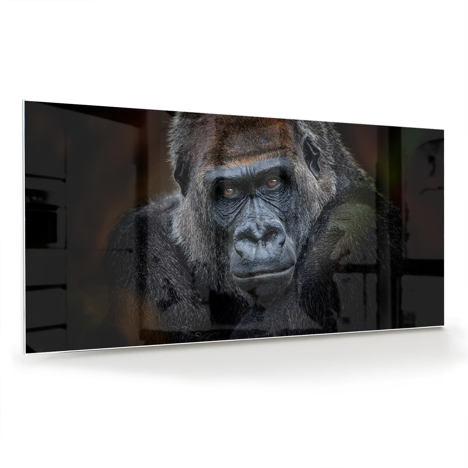 Beeindruckendes Glasbild mit einem Gorilla – Glasbild aus Sicherheitsglas, Größe 70x70_rond