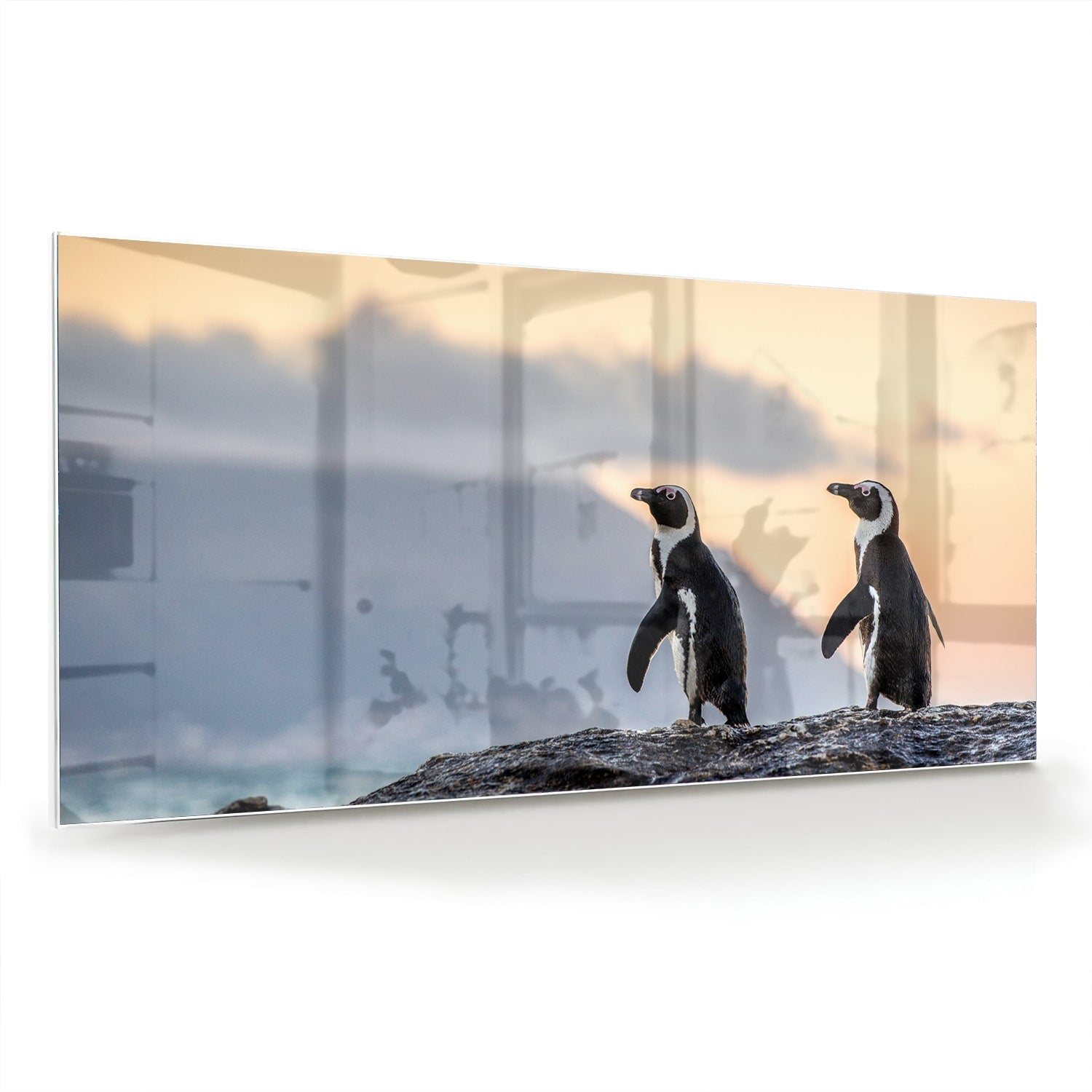 Glasbild mit Pinguinen bei Sonnenuntergang – Glasbild aus Sicherheitsglas, Größe 70x70_rond