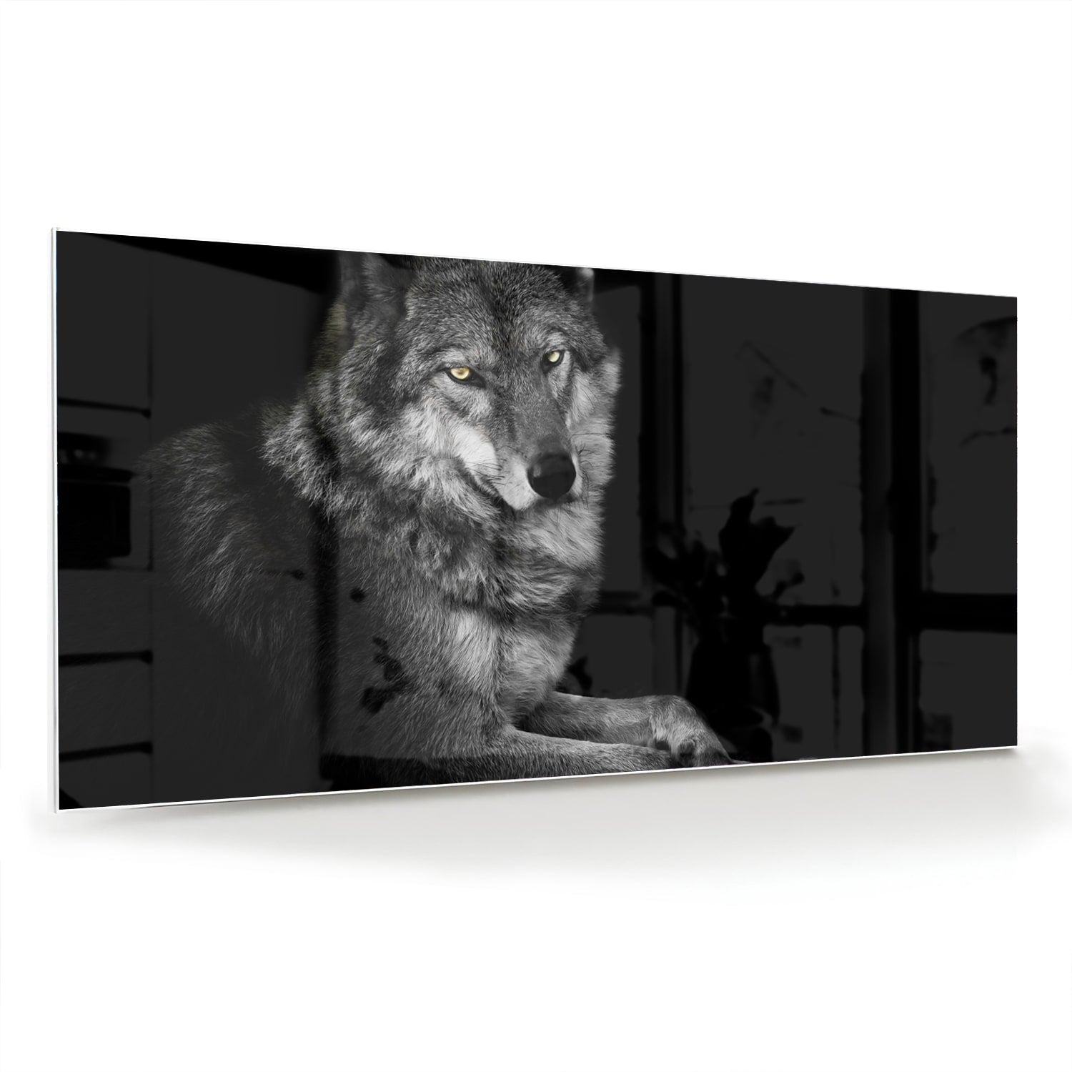 Glasbild mit einem majestätischen Wolf – Glasbild aus Sicherheitsglas, Größe 70x70_rond