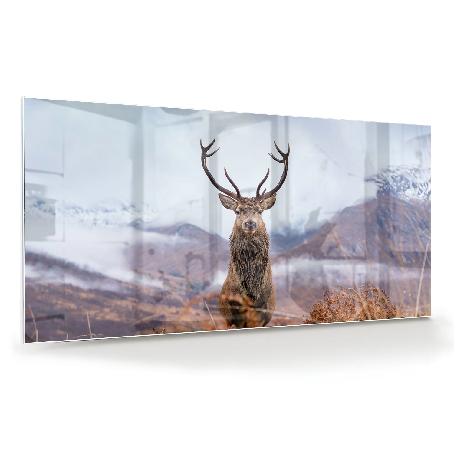 Glasbild mit majestätischem Hirsch in einer ruhigen Berglandschaft – Glasbild aus Sicherheitsglas, Größe 70x70_rond