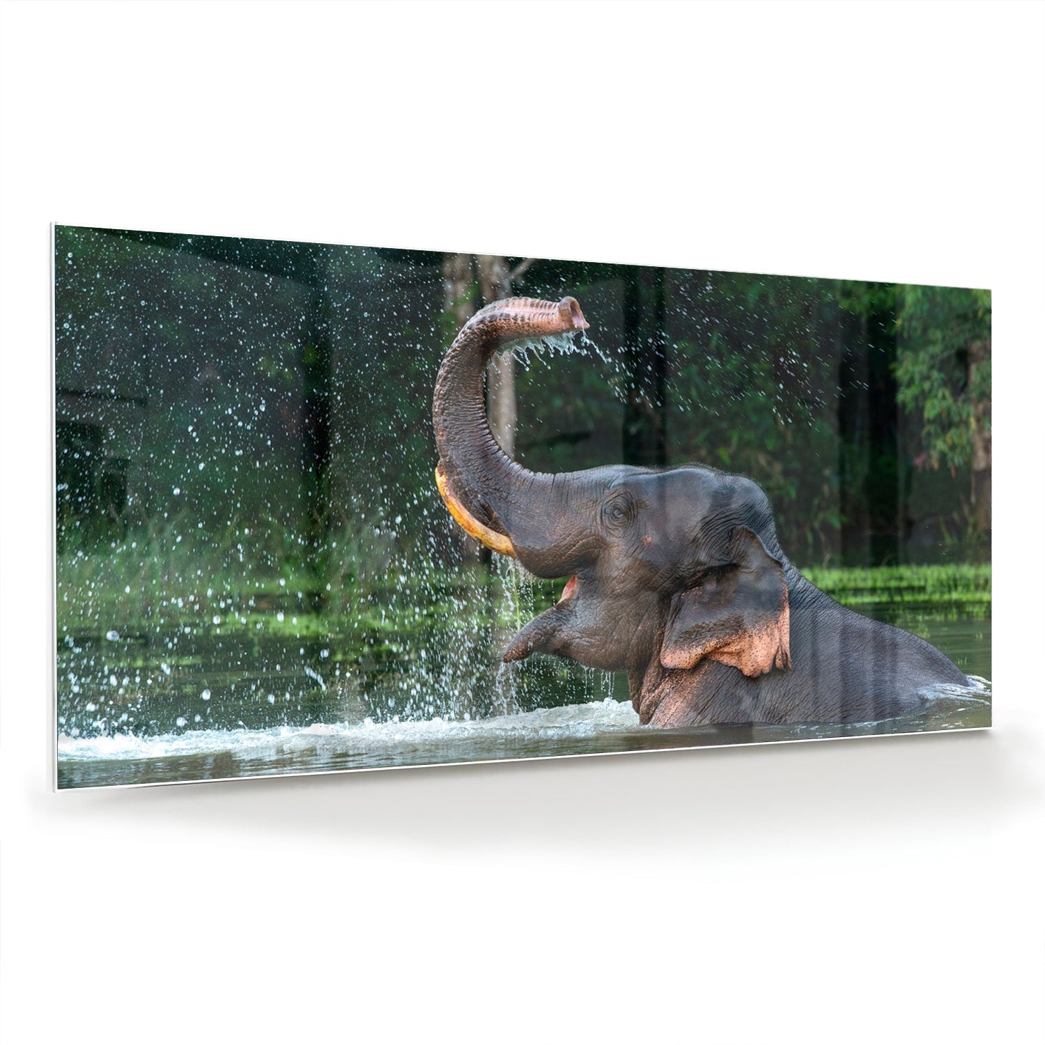 Wunderschönes Glasbild mit einem Elefanten im Wasser – Glasbild aus Sicherheitsglas, Größe 70x70_rond
