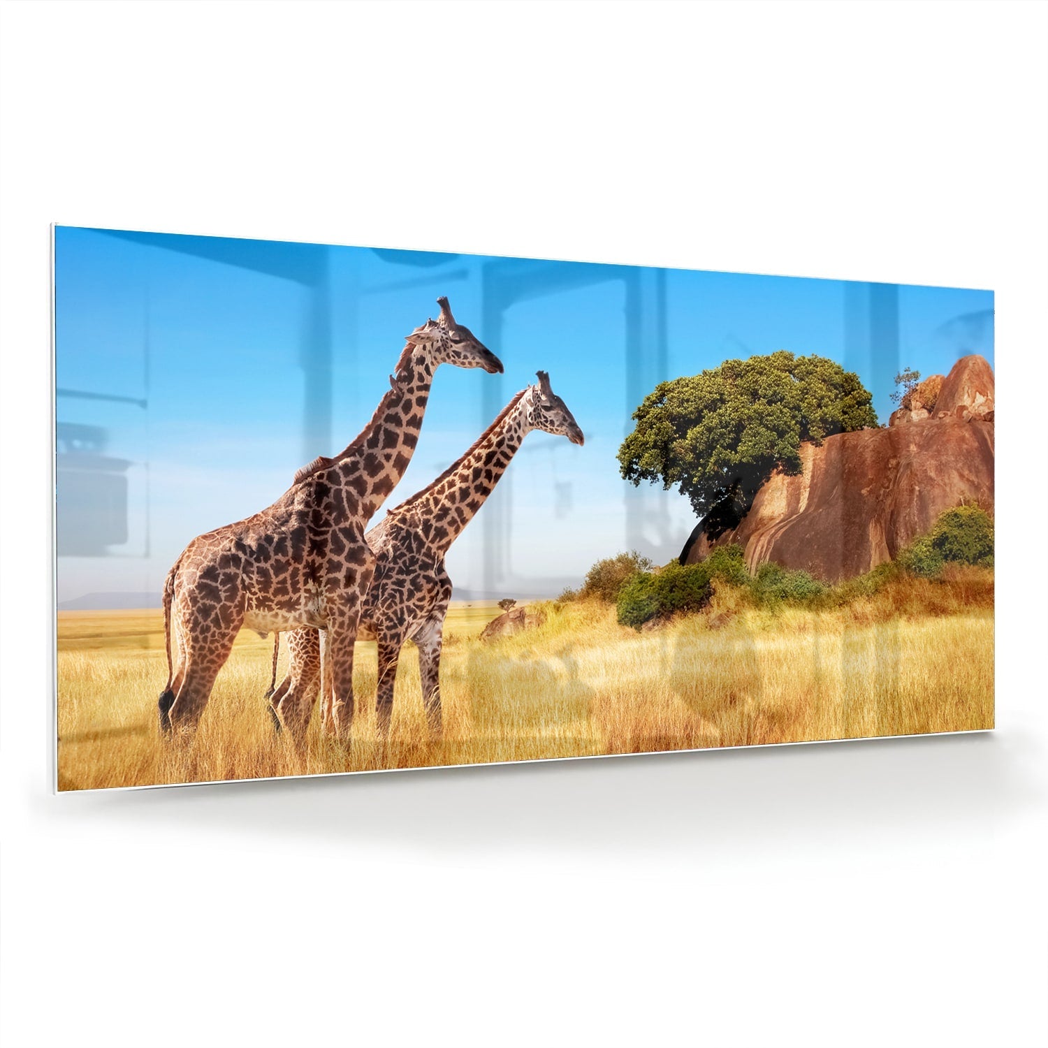 Glasbild mit zwei Giraffen in der afrikanischen Landschaft – Glasbild aus Sicherheitsglas, Größe 70x70_rond