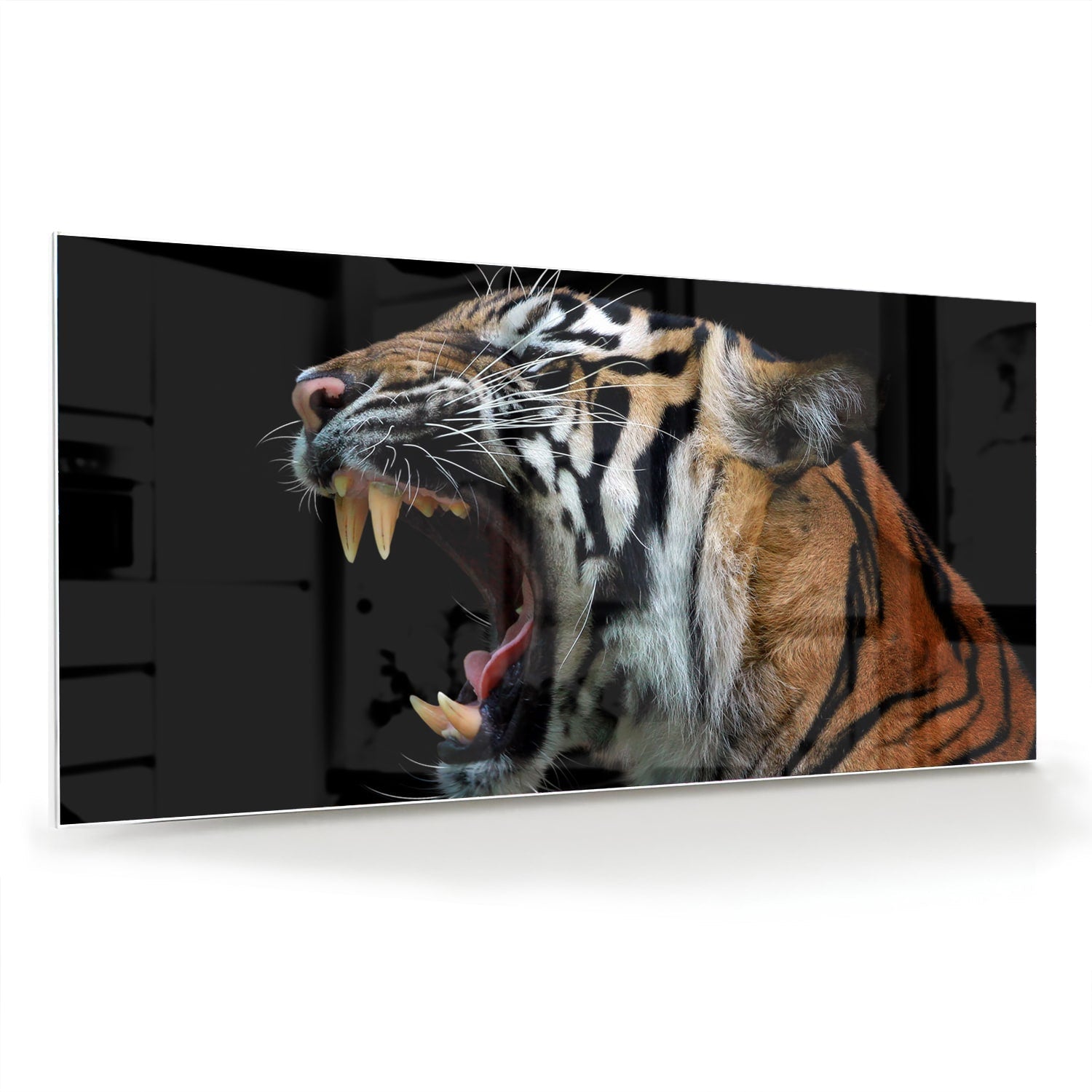 Beeindruckendes Glasbild mit einem brüllenden Tiger – Glasbild aus Sicherheitsglas, Größe 70x70_rond