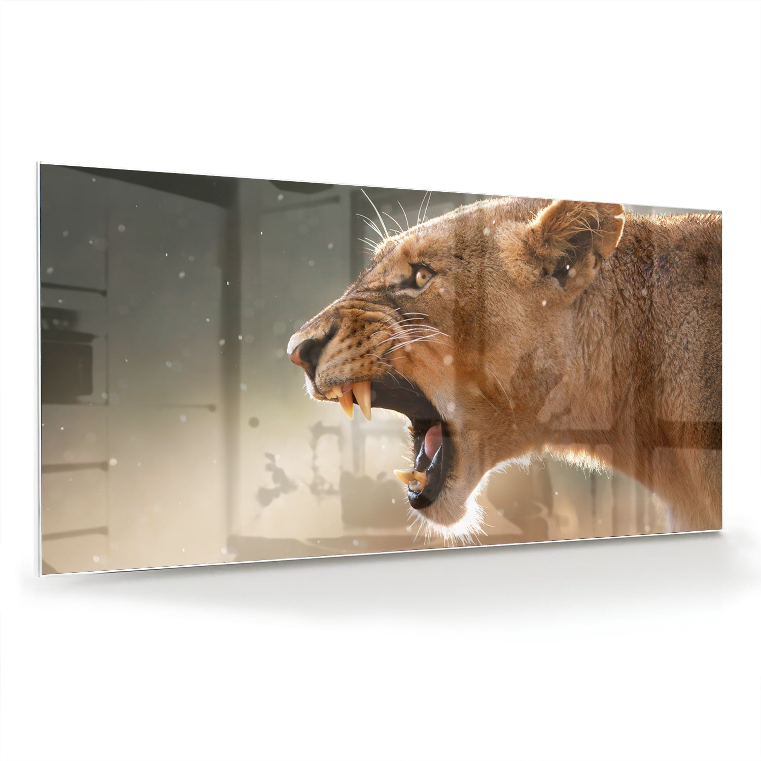 Beeindruckendes Glasbild mit einem brüllenden Löwen – Glasbild aus Sicherheitsglas, Größe 70x70_rond