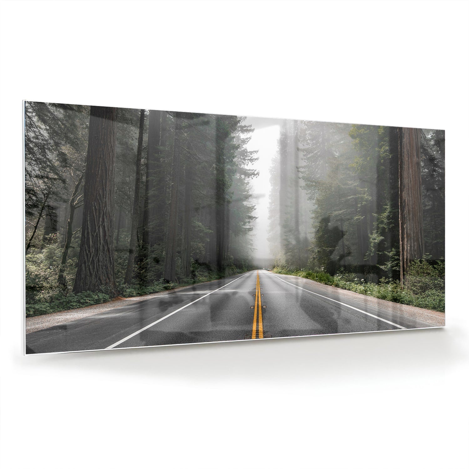 Glasbild – Erkundung eines nebligen Weges – Glasbild aus Sicherheitsglas, Größe 70x70_rond