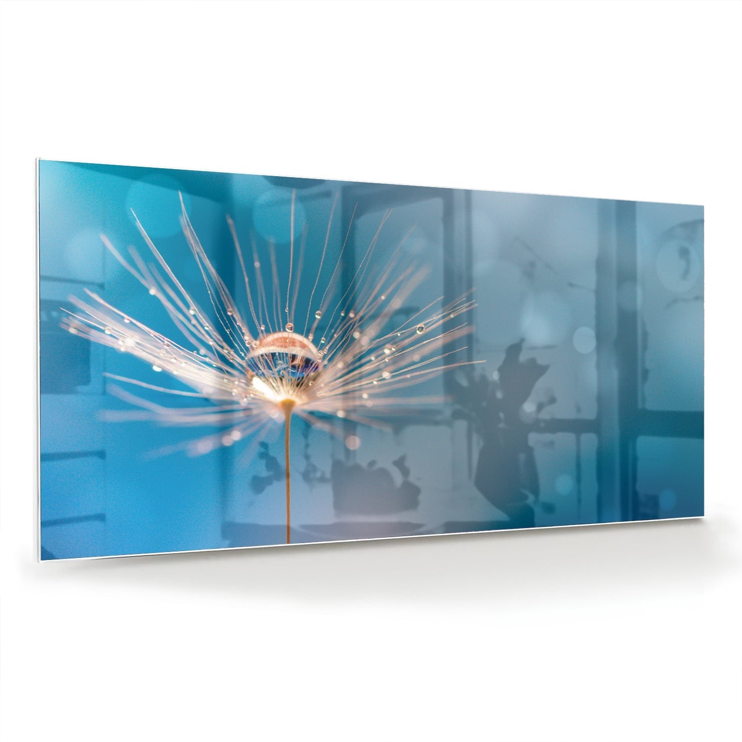 Elegantes Glasbild mit Löwenzahn-Design – Glasbild aus Sicherheitsglas, Größe 70x70_rond