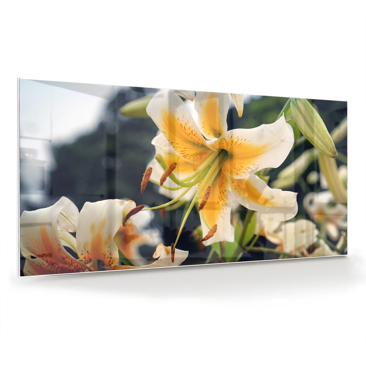 Elegantes Glasbild mit Lilien – Glasbild aus Sicherheitsglas, Größe 70x70_rond