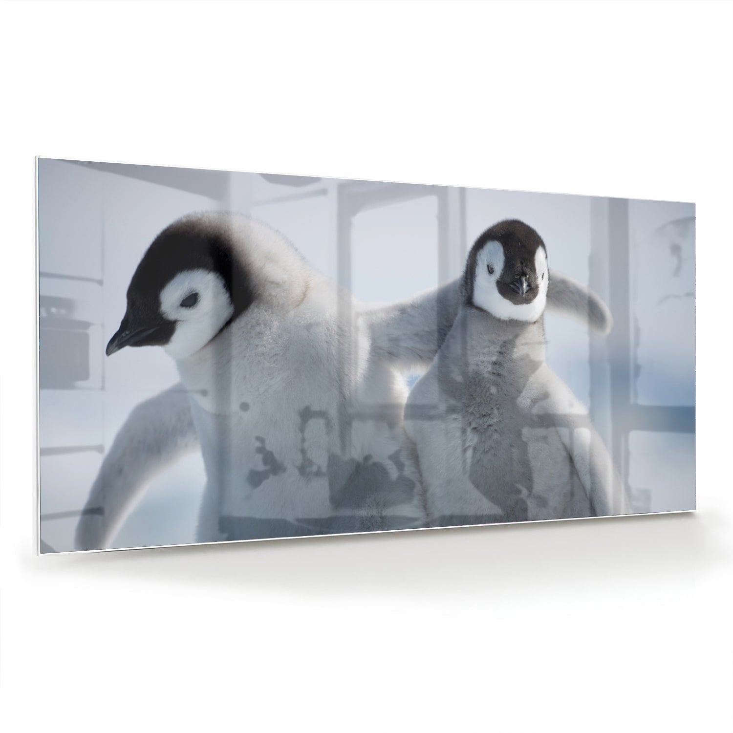 Glasbild mit zwei Pinguinen in winterlicher Atmosphäre – Glasbild aus Sicherheitsglas, Größe 70x70_rond