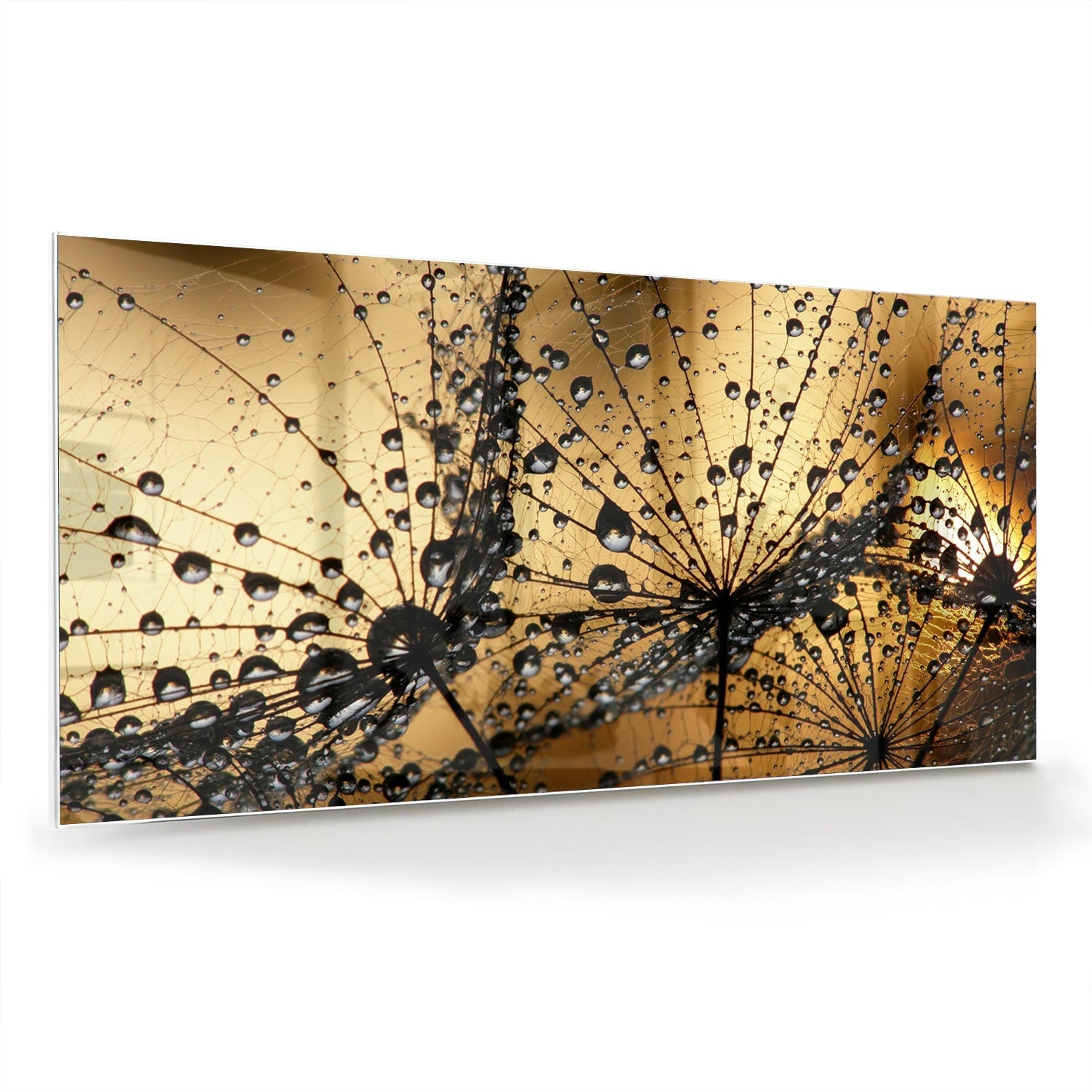 Glasbild mit goldenen Wassertropfen – Glasbild aus Sicherheitsglas, Größe 70x70_rond