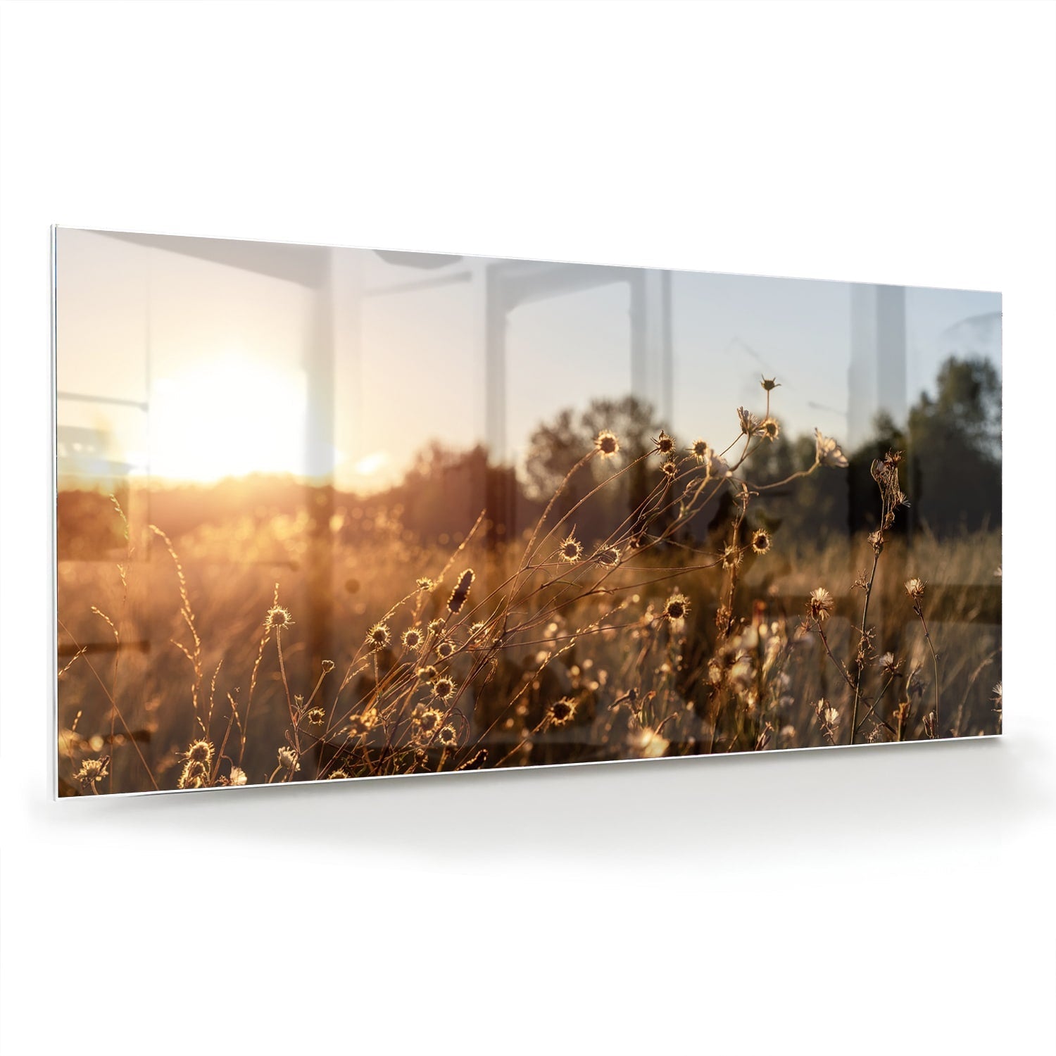 Zauberhaftes Glasbild mit goldenem Sonnenuntergang – Glasbild aus Sicherheitsglas, Größe 70x70_rond