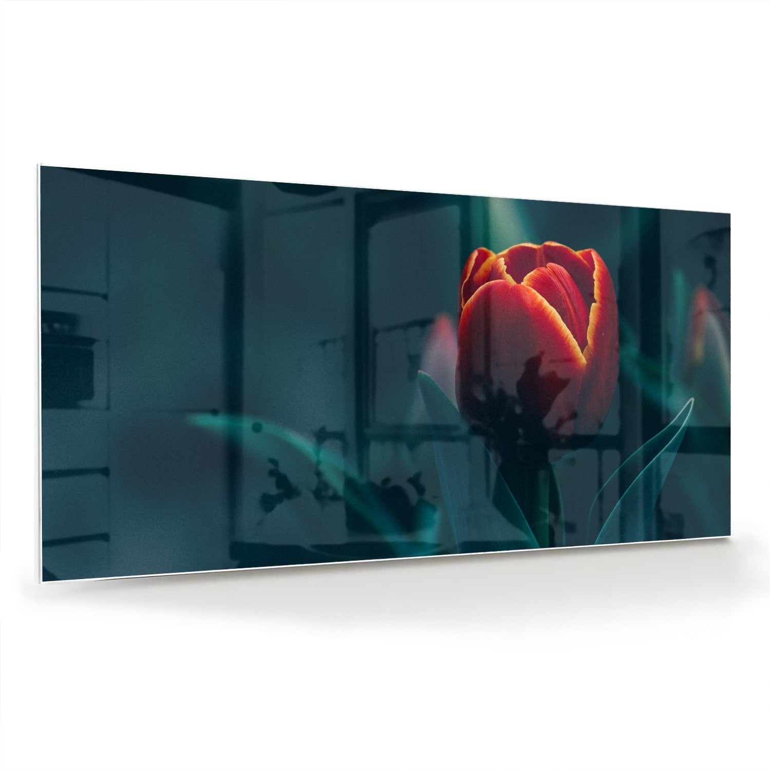 Glasbild mit roter Tulpe in einem modernen Interieur – Glasbild aus Sicherheitsglas, Größe 70x70_rond