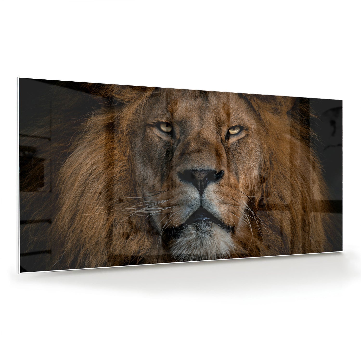 Glasbild mit majestätischem Löwen – einzigartige Wanddekoration – Glasbild aus Sicherheitsglas, Größe 70x70_rond