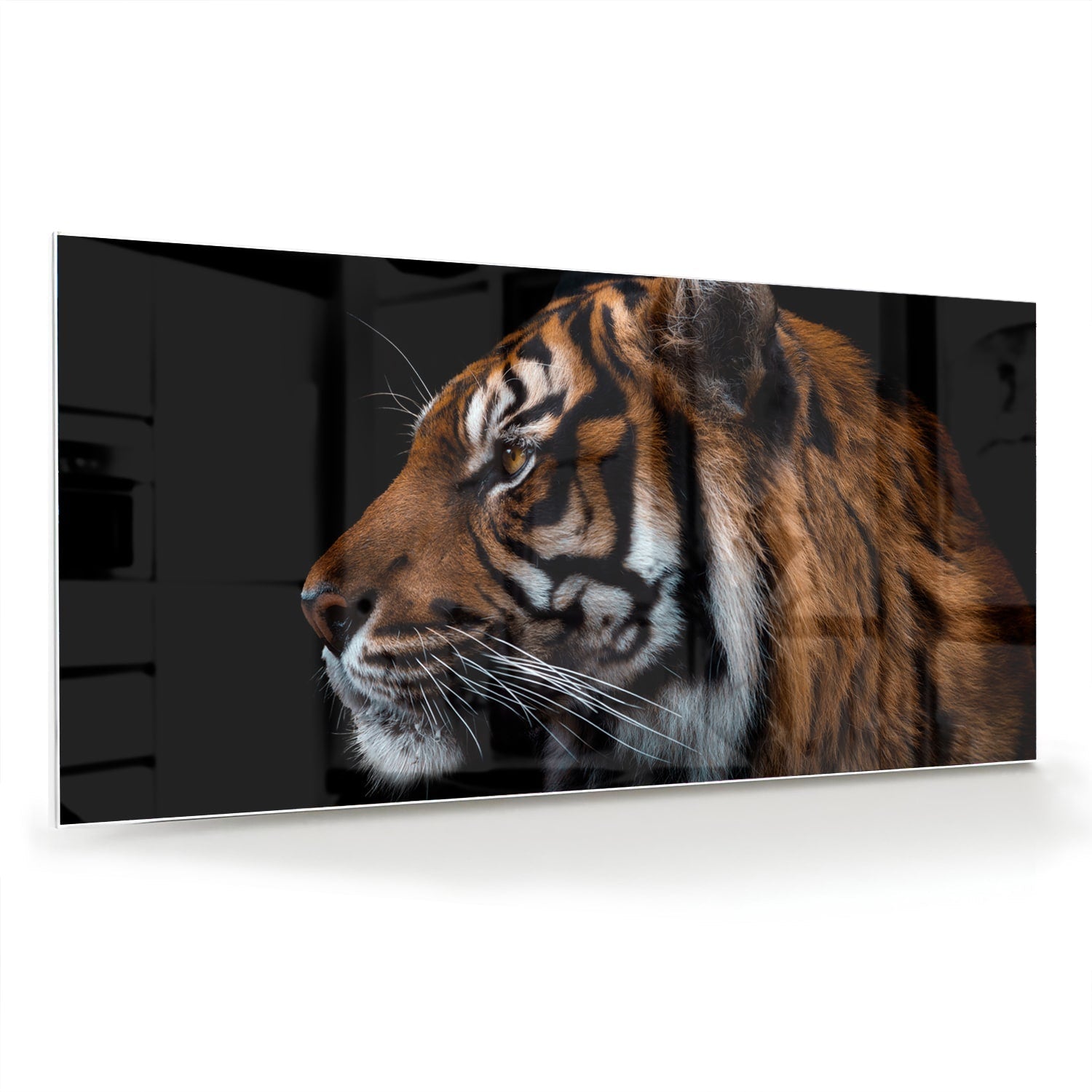 Glasbild mit majestätischen Tigern – Glasbild aus Sicherheitsglas, Größe 70x70_rond
