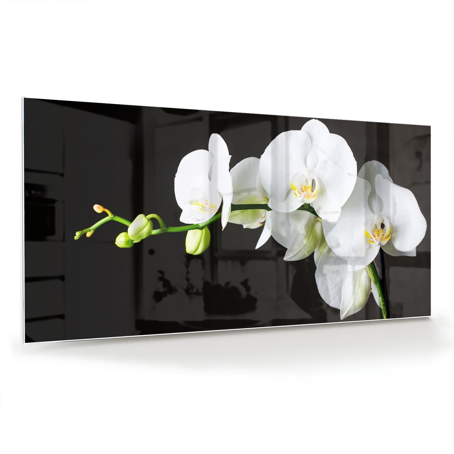 Elegantes Glasbild mit weißen Orchideen – Glasbild aus Sicherheitsglas, Größe 70x70_rond