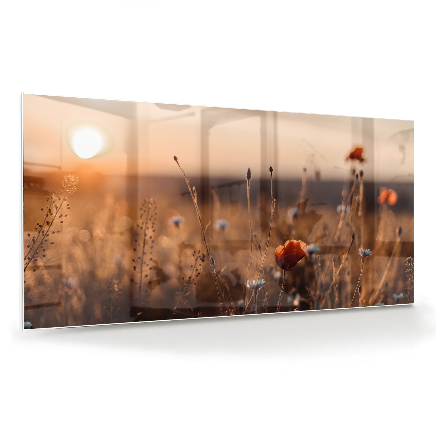 Glasbild – Mohnfeld in sanftem Glanz – Glasbild aus Sicherheitsglas, Größe 70x70_rond
