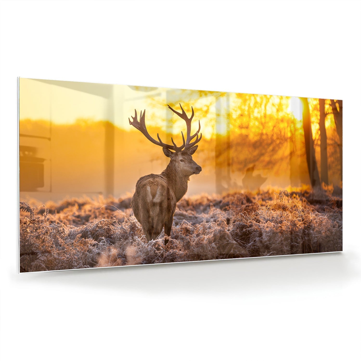 Glasbild mit einem Hirsch in der aufgehenden Sonne – Glasbild aus Sicherheitsglas, Größe 70x70_rond