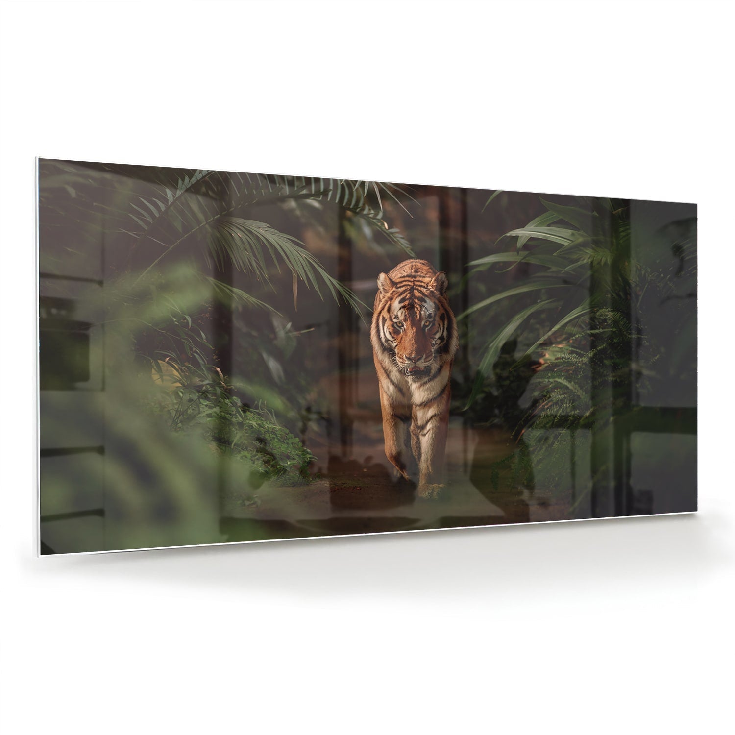 Elegantes Glasbild mit Tiger zwischen Blättern – Glasbild aus Sicherheitsglas, Größe 70x70_rond