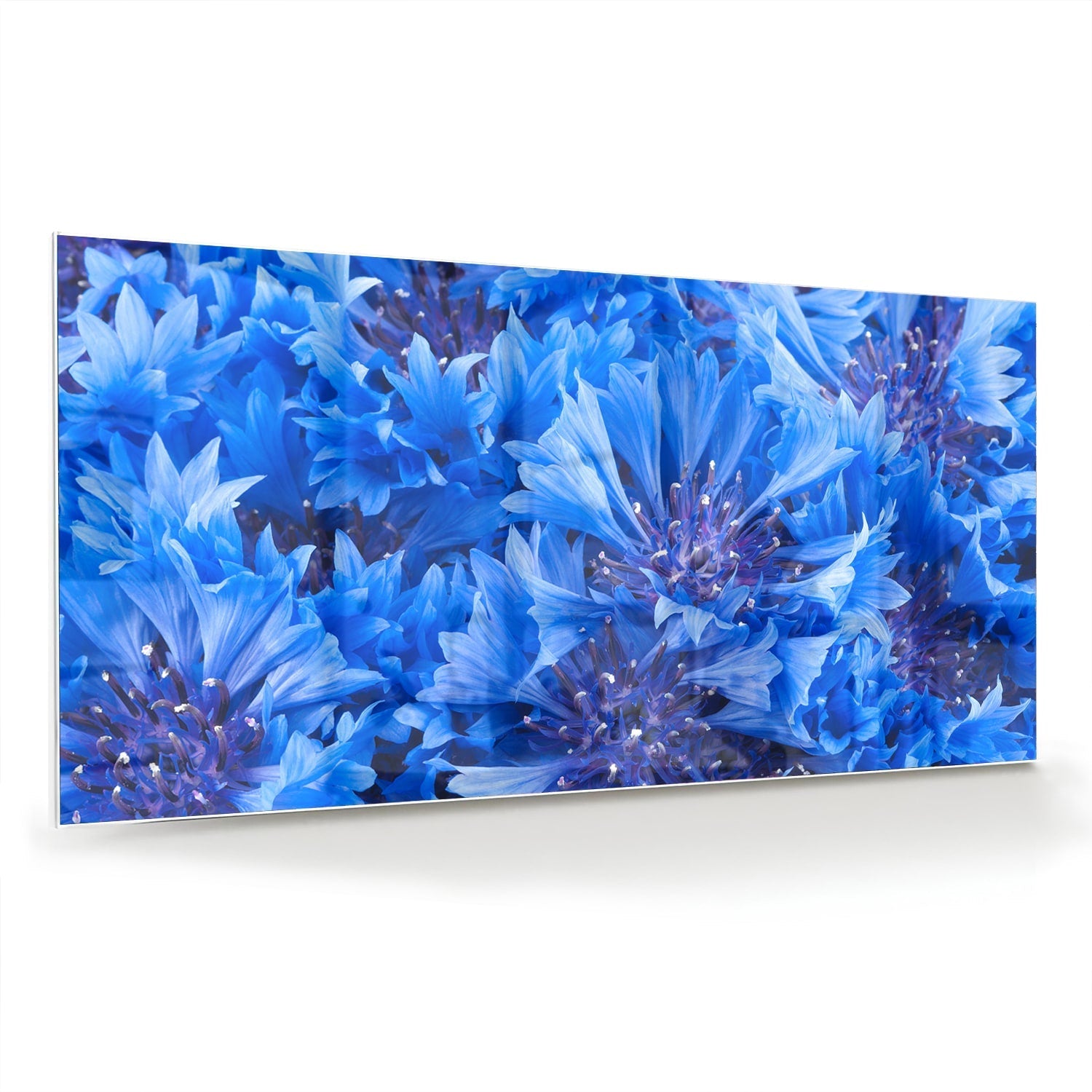 Blaues Glasbild mit Blumenmotiv – Glasbild aus Sicherheitsglas, Größe 70x70_rond