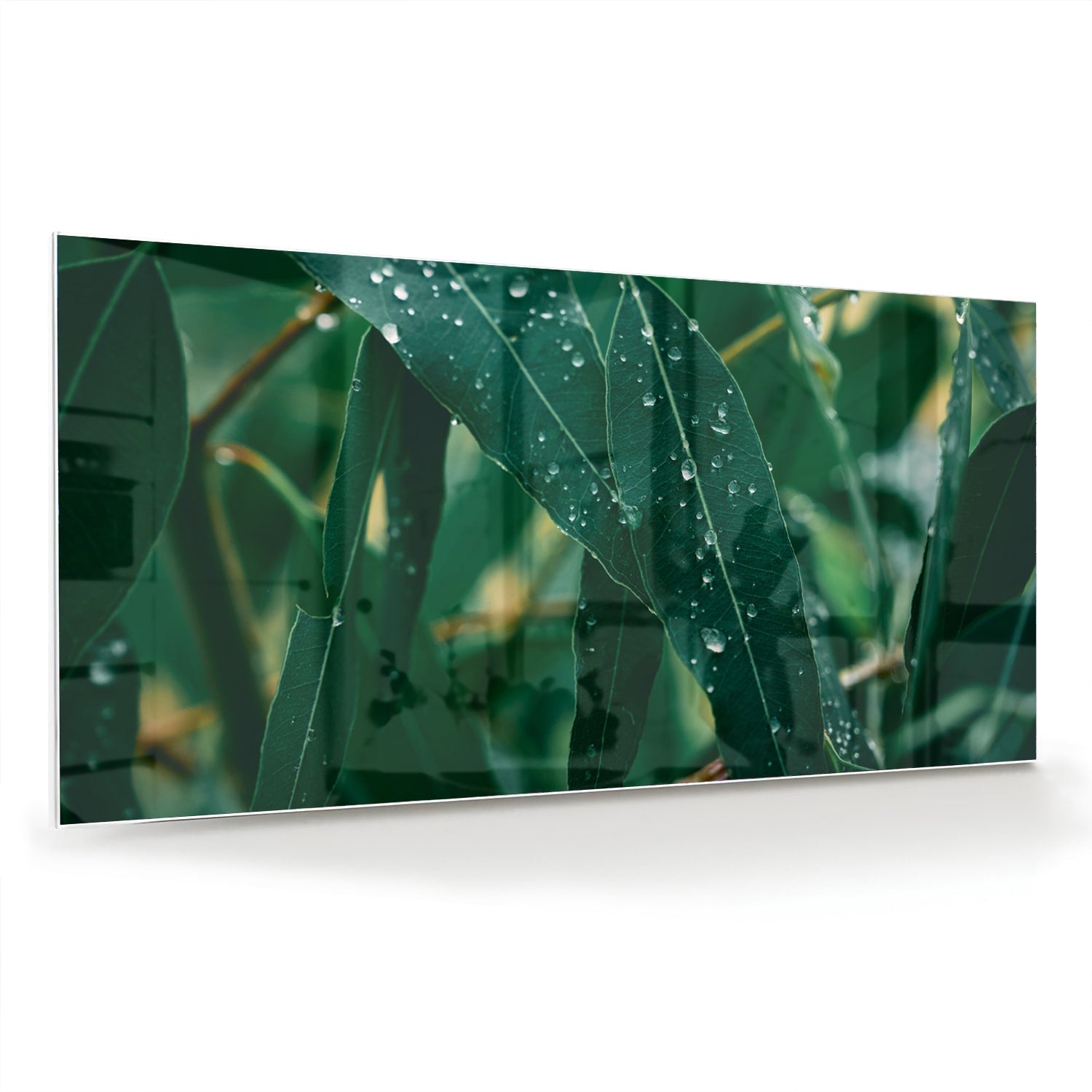 Glasbild mit grünen Blättern und Tautropfen – Glasbild aus Sicherheitsglas, Größe 70x70_rond