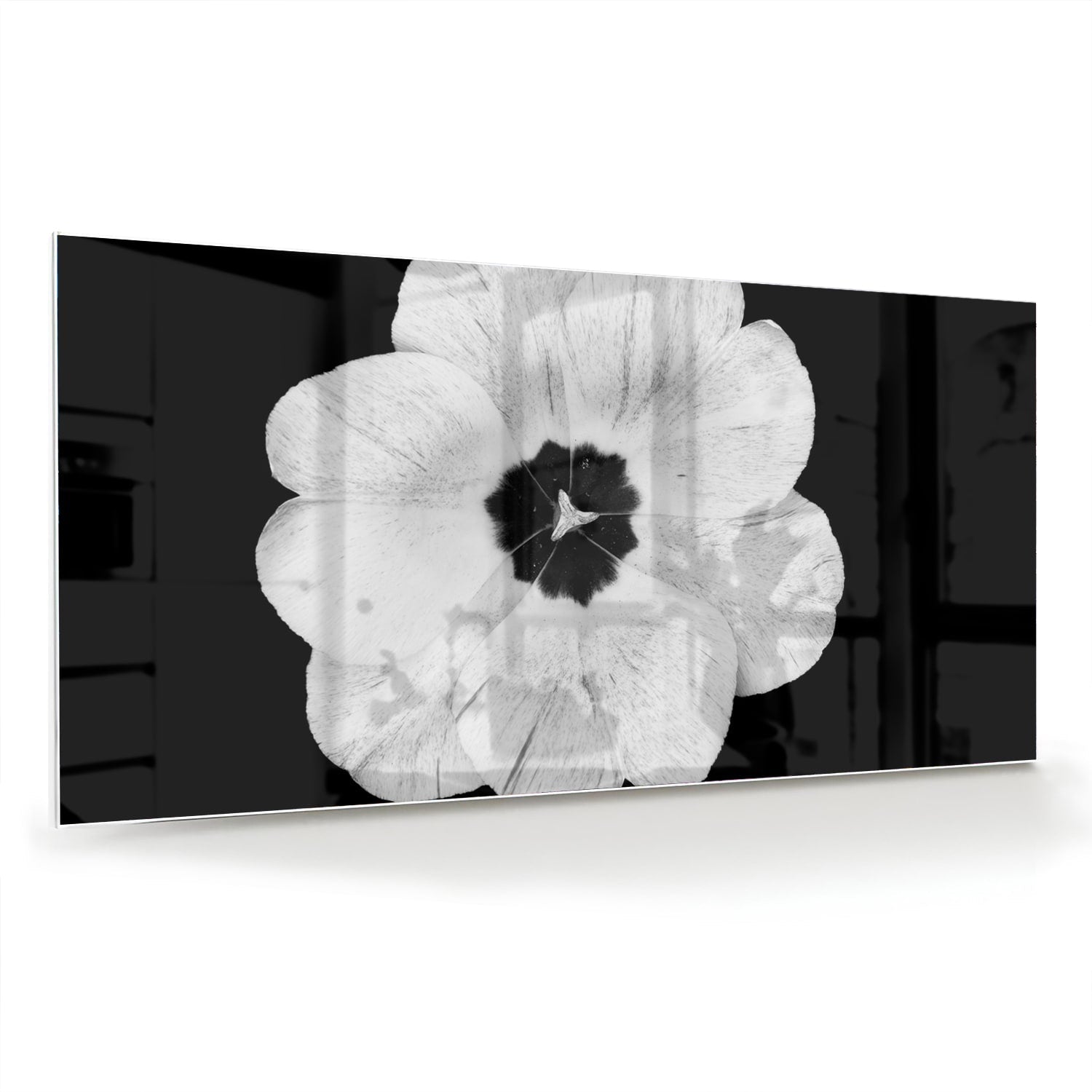 Glasbild mit einer weißen Blume auf schwarzem Hintergrund – Glasbild aus Sicherheitsglas, Größe 70x70_rond