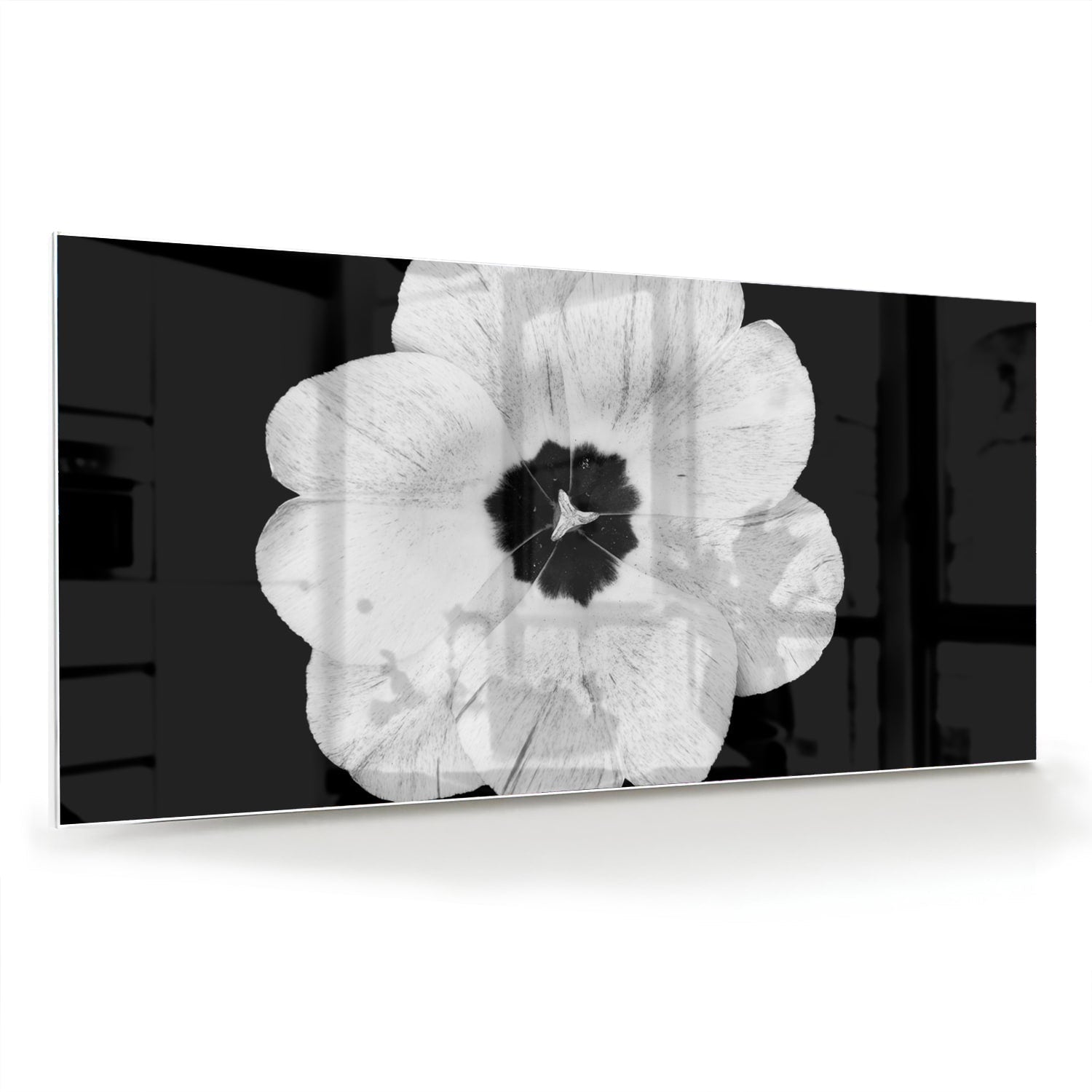 Glasbild Glas mit einem witte bloem auf schwarz als moderne Glas-Wanddekoration aus 4 mm Sicherheitsglas