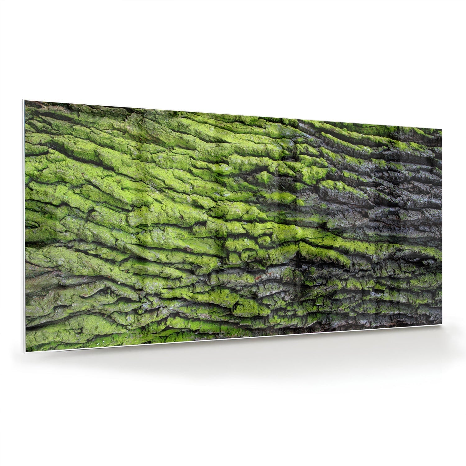 Glasbild mit moosartiger Textur – Glasbild aus Sicherheitsglas, Größe 70x70_rond