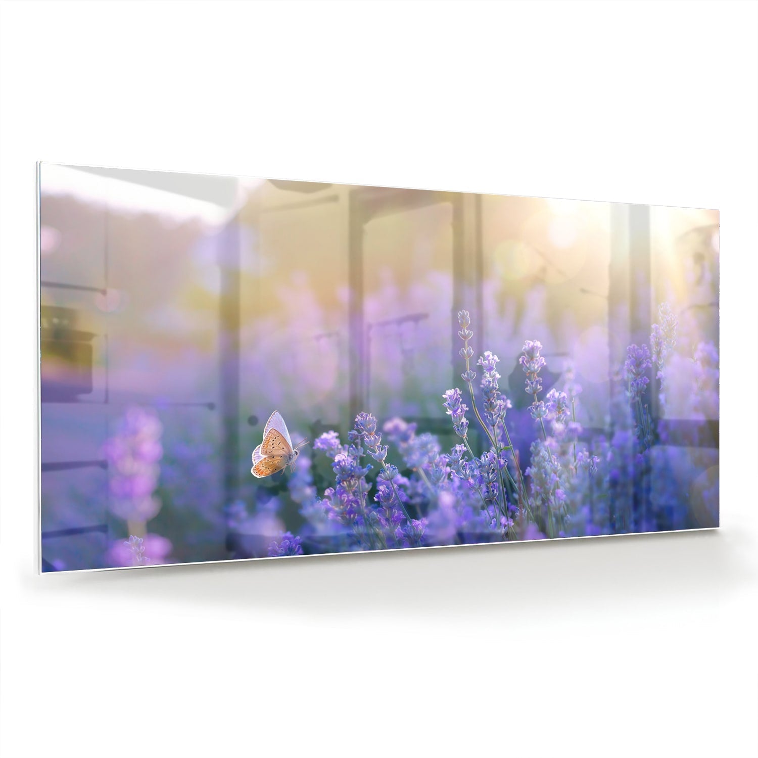 Glasbild mit violettem Lavendel und Schmetterling – Glasbild aus Sicherheitsglas, Größe 70x70_rond