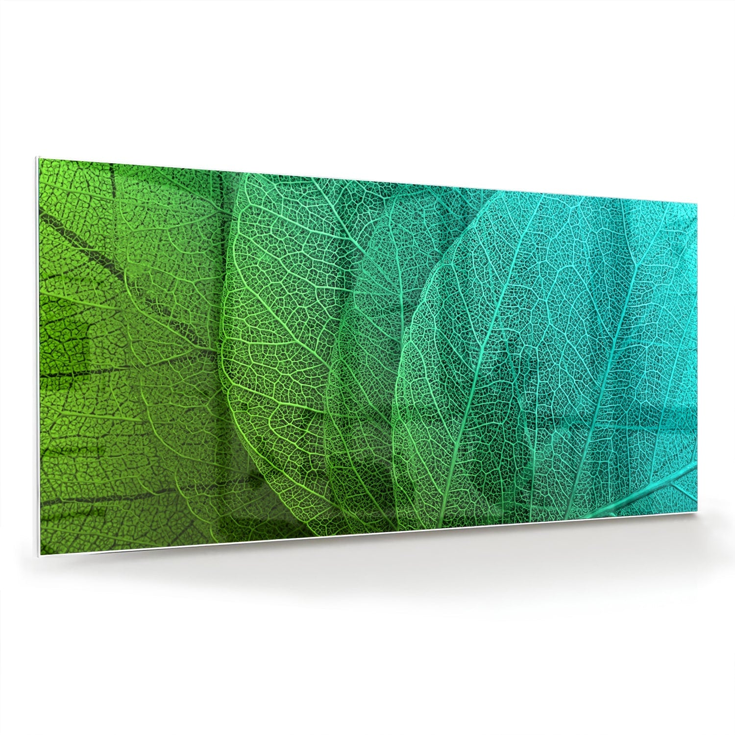 Glasbild mit strukturierter Oberfläche aus grünen Blättern – Glasbild aus Sicherheitsglas, Größe 70x70_rond