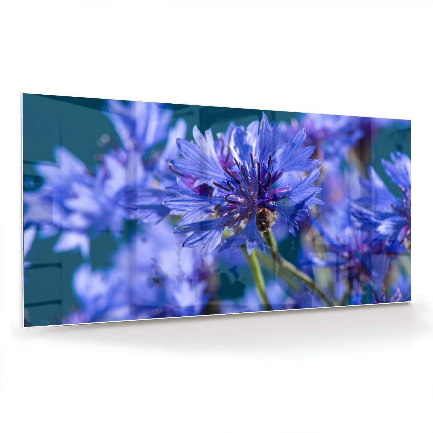 Wunderschönes violettes Glasbild mit Blumenmotiv – Glasbild aus Sicherheitsglas, Größe 70x70_rond