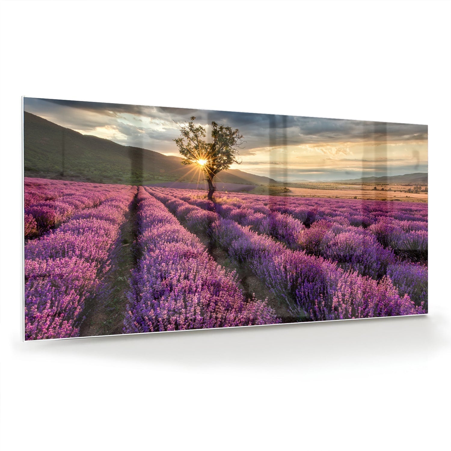 Glasbild mit violetten Lavendelfeldern bei Sonnenuntergang – Glasbild aus Sicherheitsglas, Größe 70x70_rond