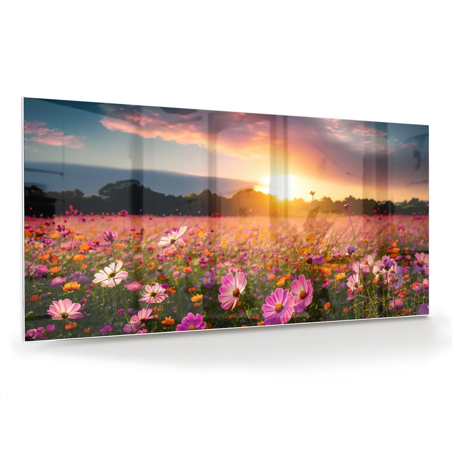 Glasbild – Sonnenuntergang über Blumenfeld – Glasbild aus Sicherheitsglas, Größe 70x70_rond