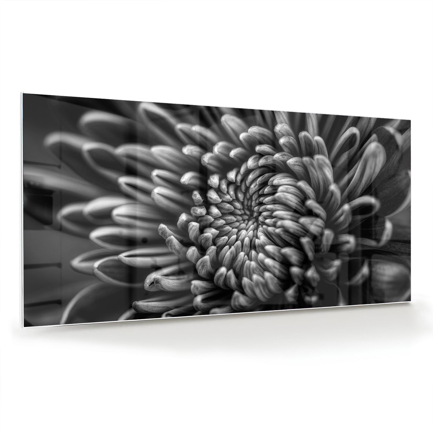 Schwarz-Weiß-Glasbild mit geschwungener Blume – Glasbild aus Sicherheitsglas, Größe 70x70_rond