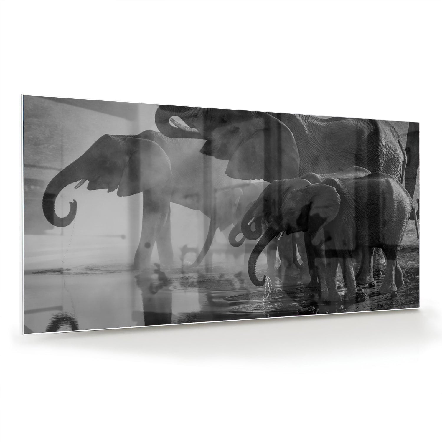 Glasbild mit majestätischen Elefanten – Glasbild aus Sicherheitsglas, Größe 70x70_rond