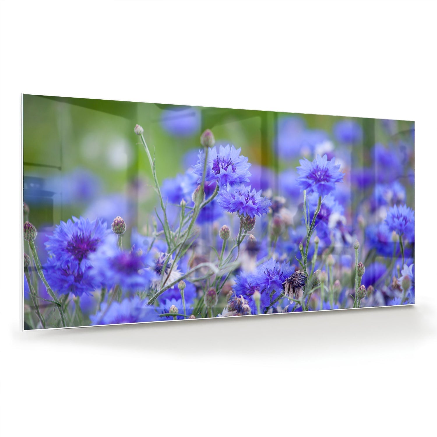 Glasbild mit violetten Blumen in ruhiger Szenerie – Glasbild aus Sicherheitsglas, Größe 70x70_rond