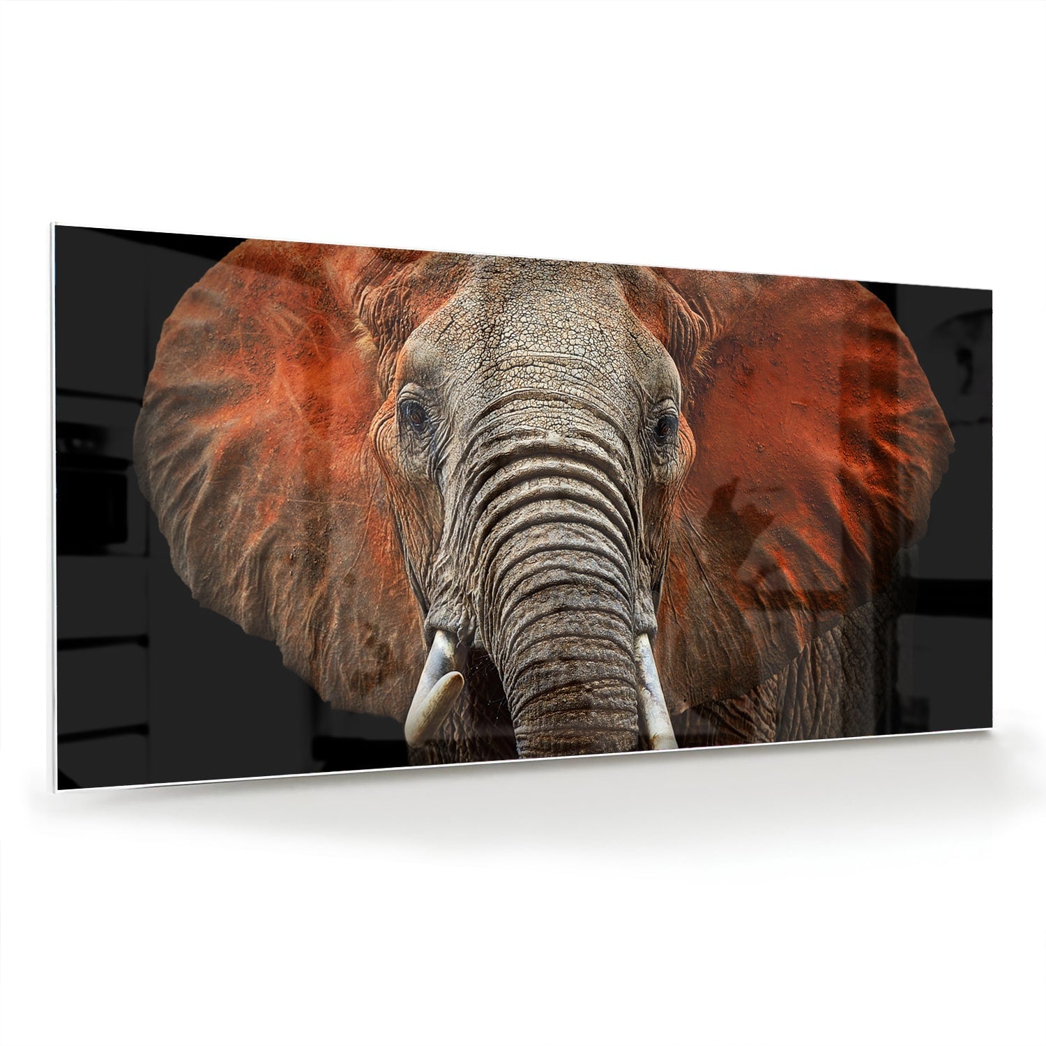 Beeindruckendes Glasbild mit einem Elefanten – Glasbild aus Sicherheitsglas, Größe 70x70_rond
