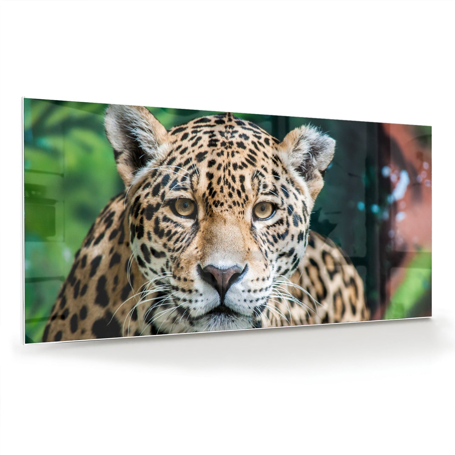 Beeindruckendes Glasbild mit einem Jaguar – Glasbild aus Sicherheitsglas, Größe 70x70_rond